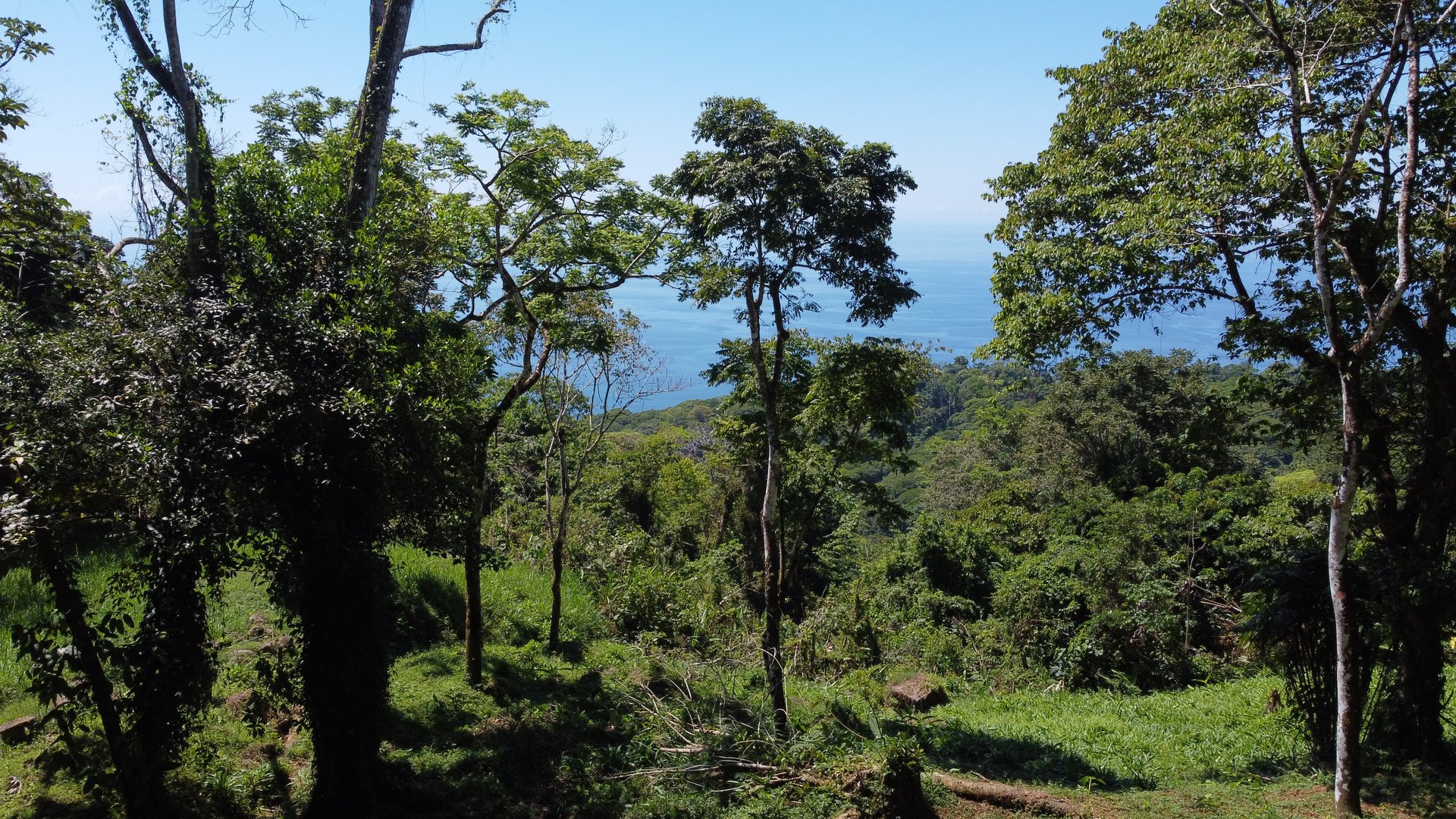 Exclusive 5.80 acres Ocean View Estate Lot in Costa Verde Estates – Escaleras