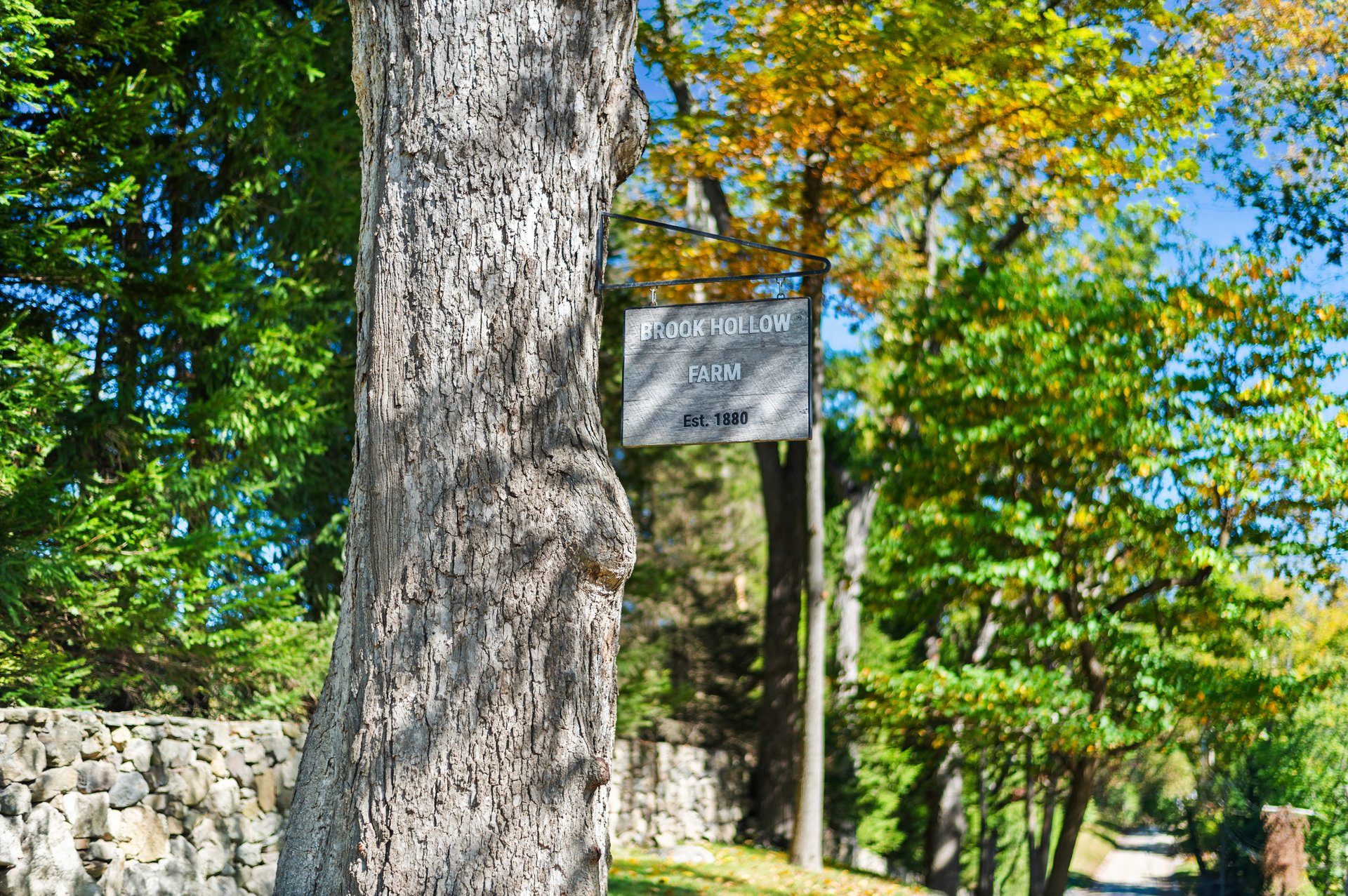 Brook Hollow Farm