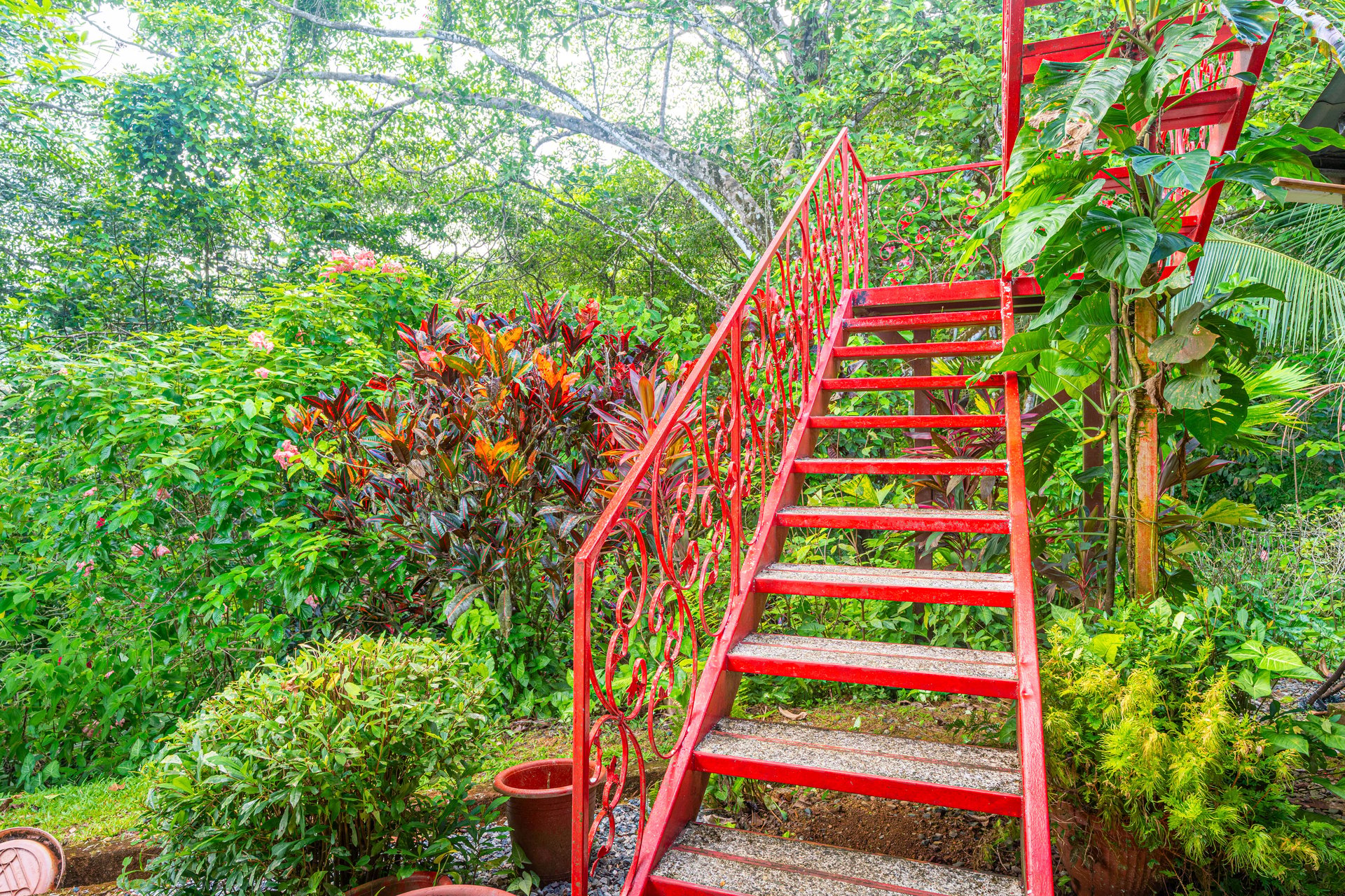Amazing Mountain View and Ocean View House and Guest House on 4.5 Acres of land in Ojochal