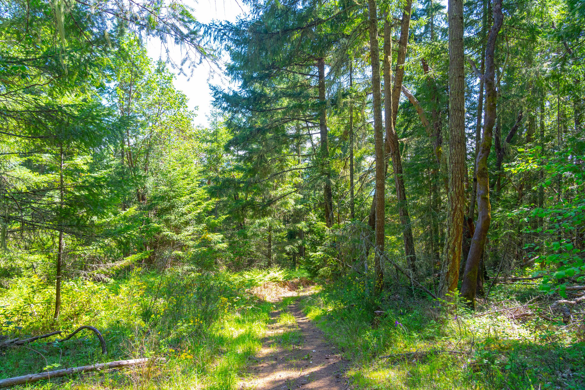 SUTHERLIN HEIGHTS