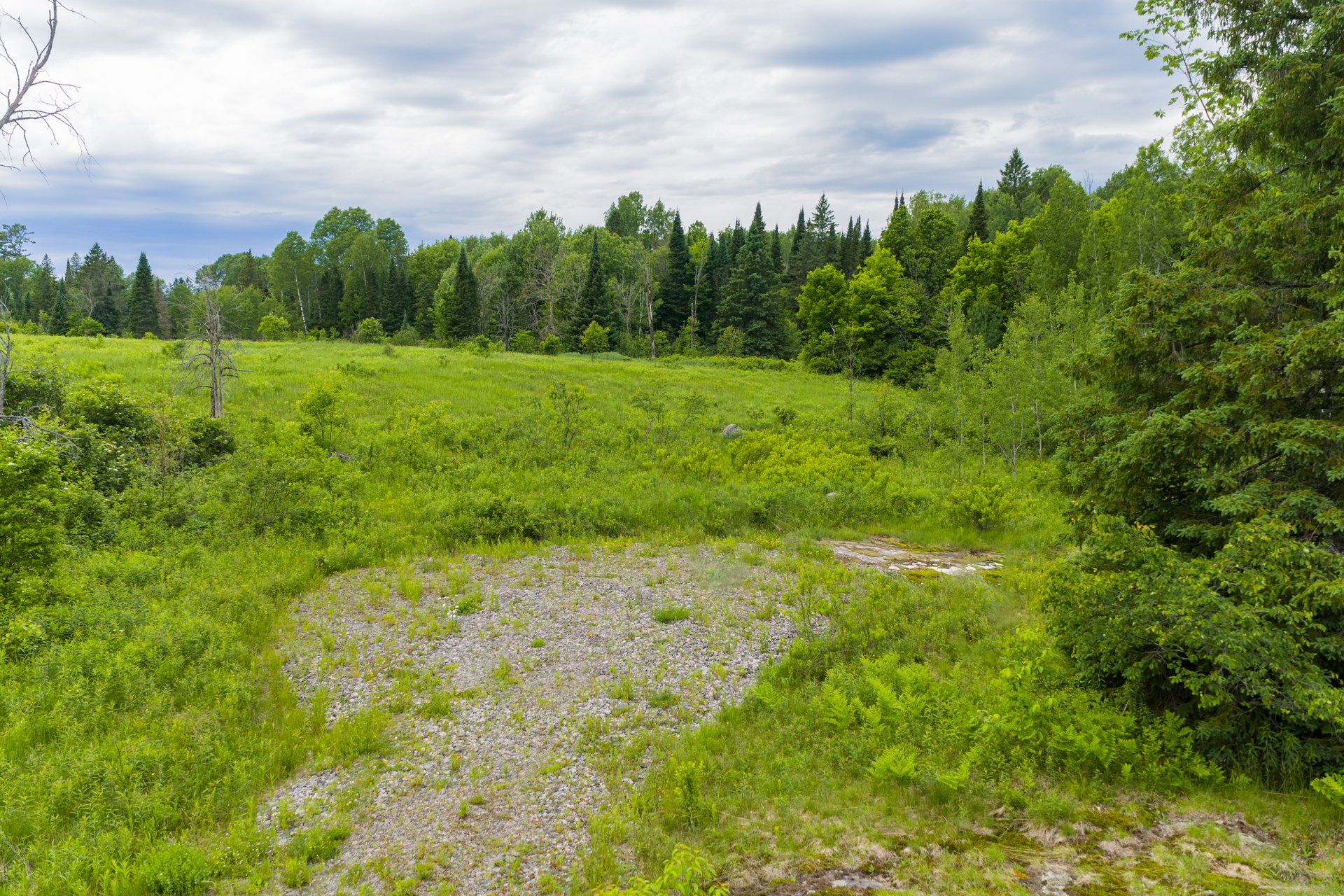 LOT 78 141 HIGHWAY
