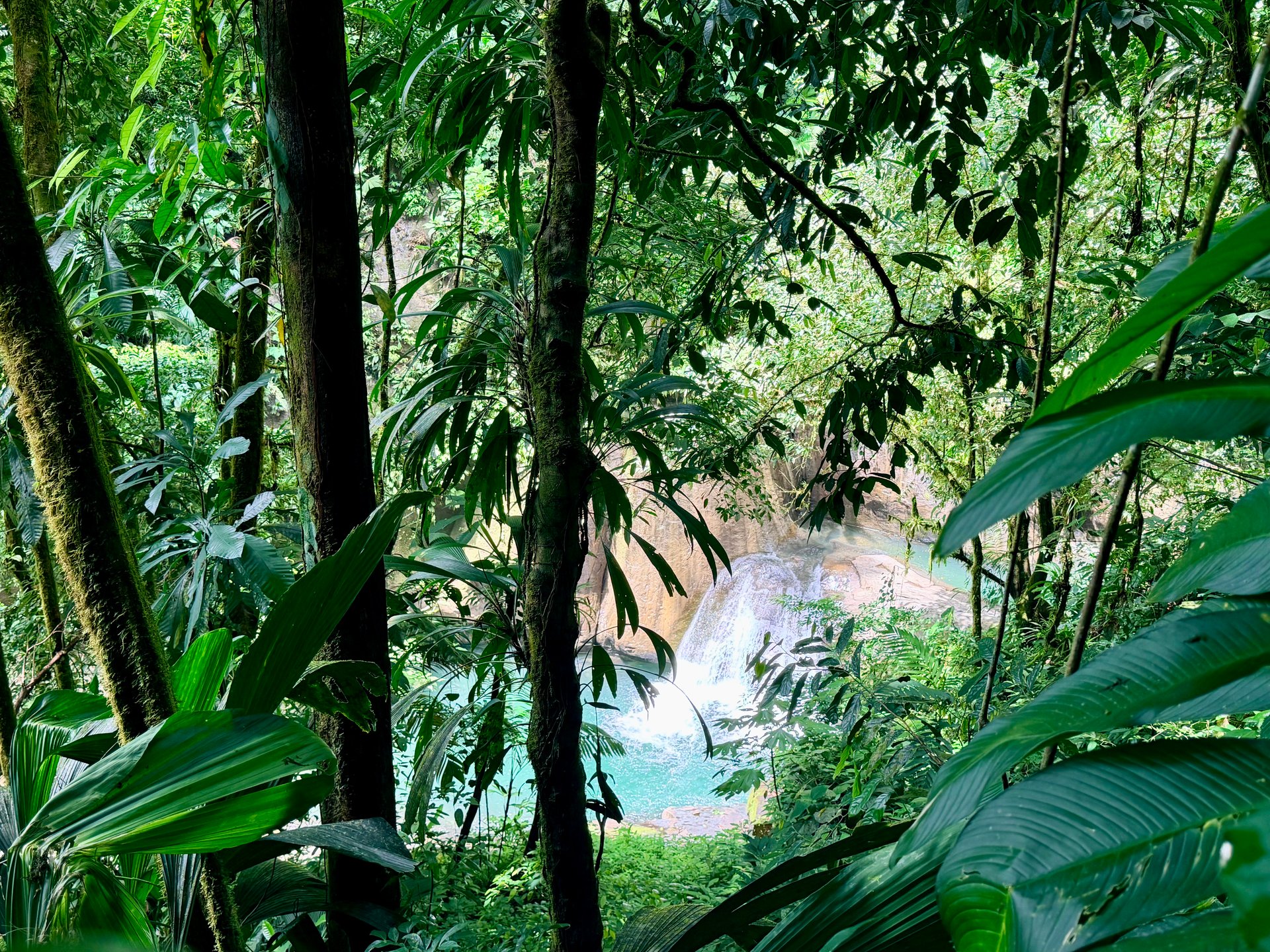 Uvita Development Farm - 45.4 Acres Estate