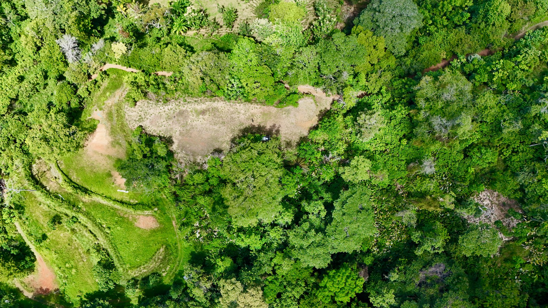 Las Terrazas Dream Estate | Spectacular Ocean & Mountain Views with a Waterfall 