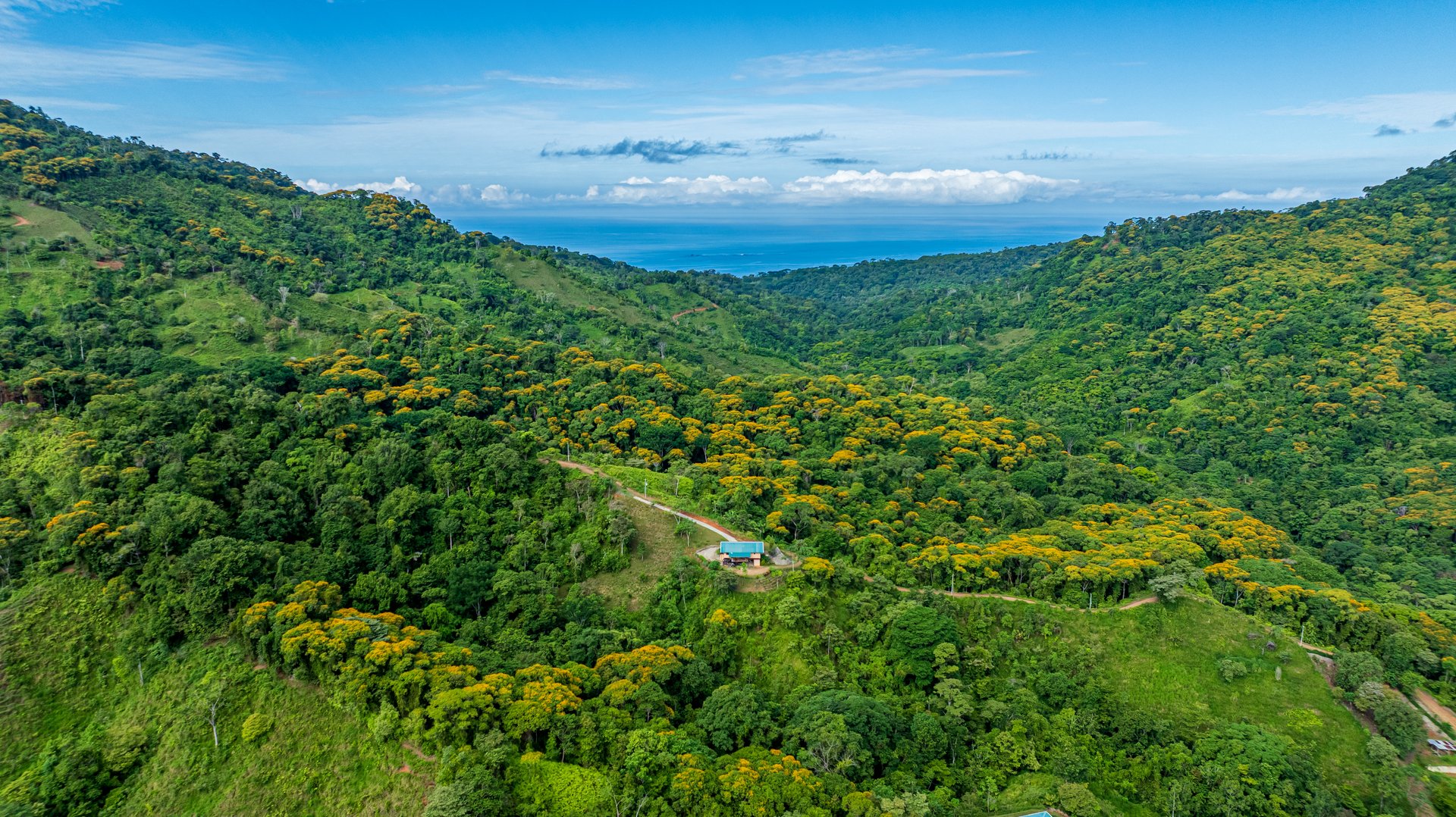 Mountain Farm & Homestead Opportunity in San Josecito, Costa Rica