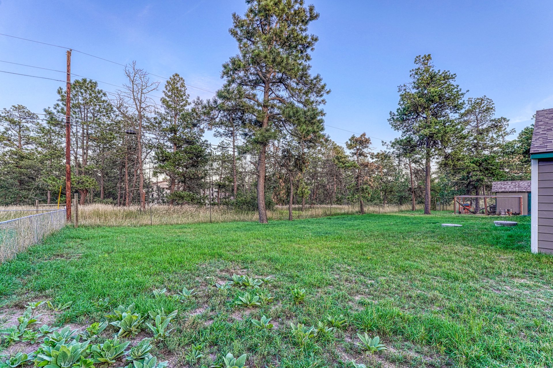 11125 Black Forest Road
