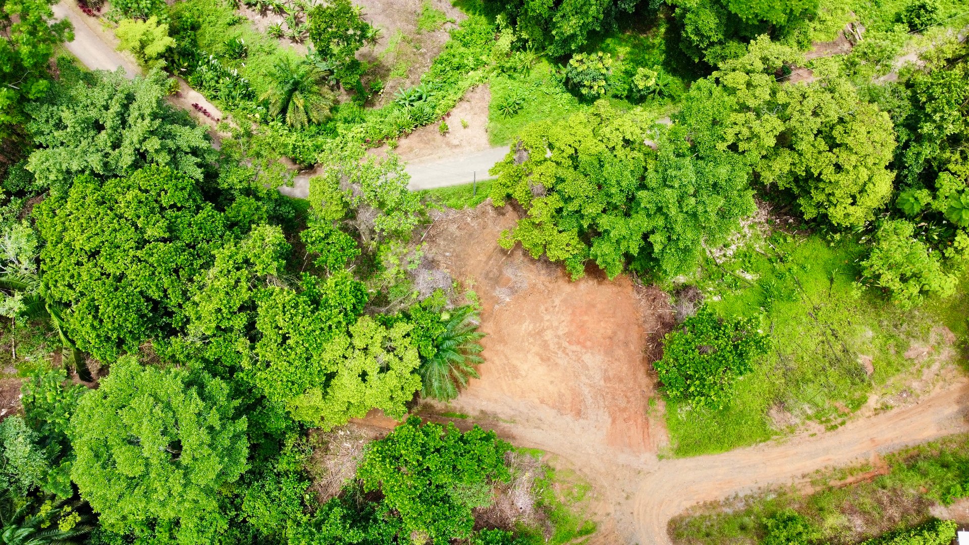 Ready-to-Build Land in San Antonio de Damas: 2,6-Acre with Terraces & Road Frontage