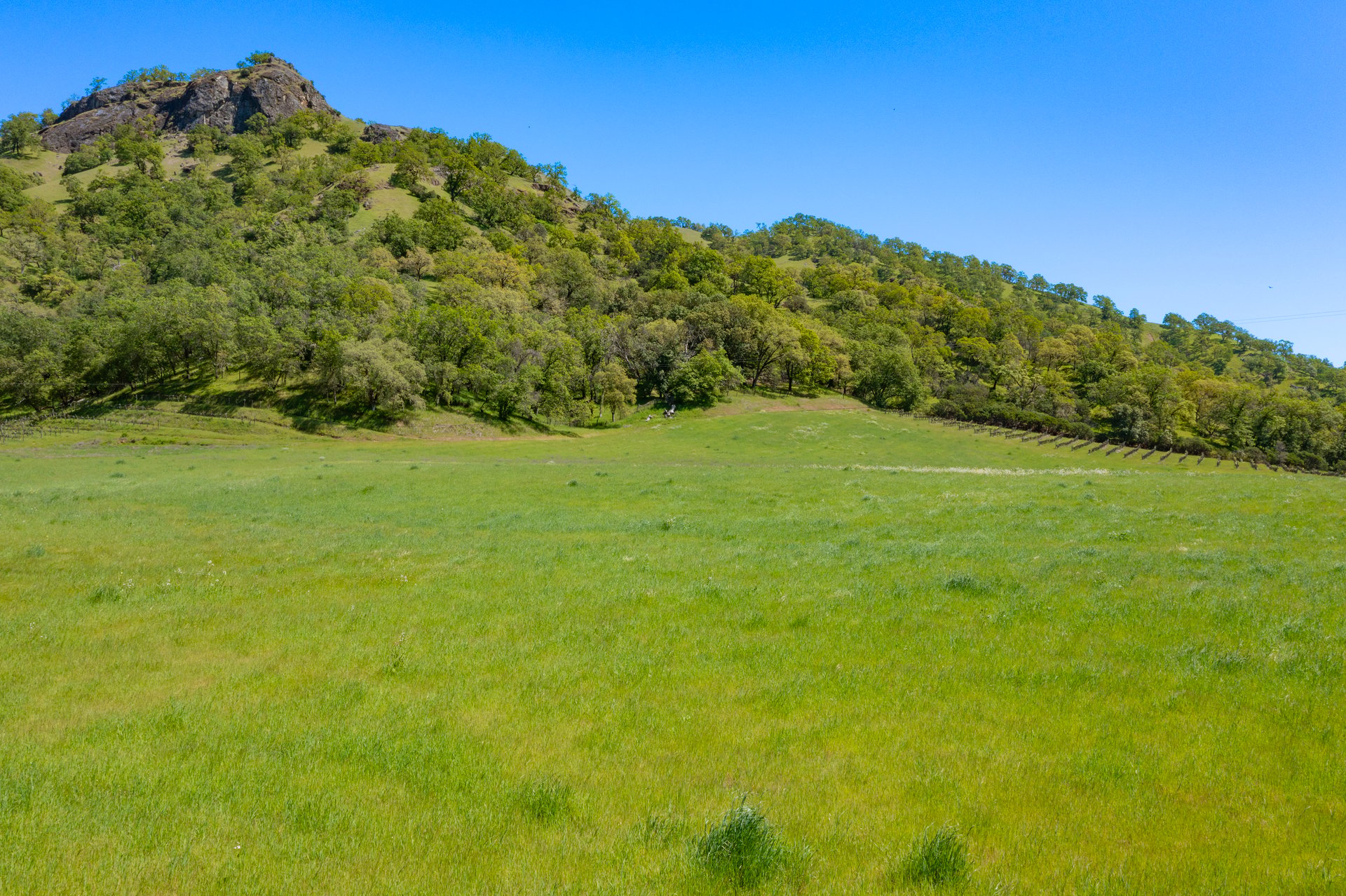 Open Hand Ranch 