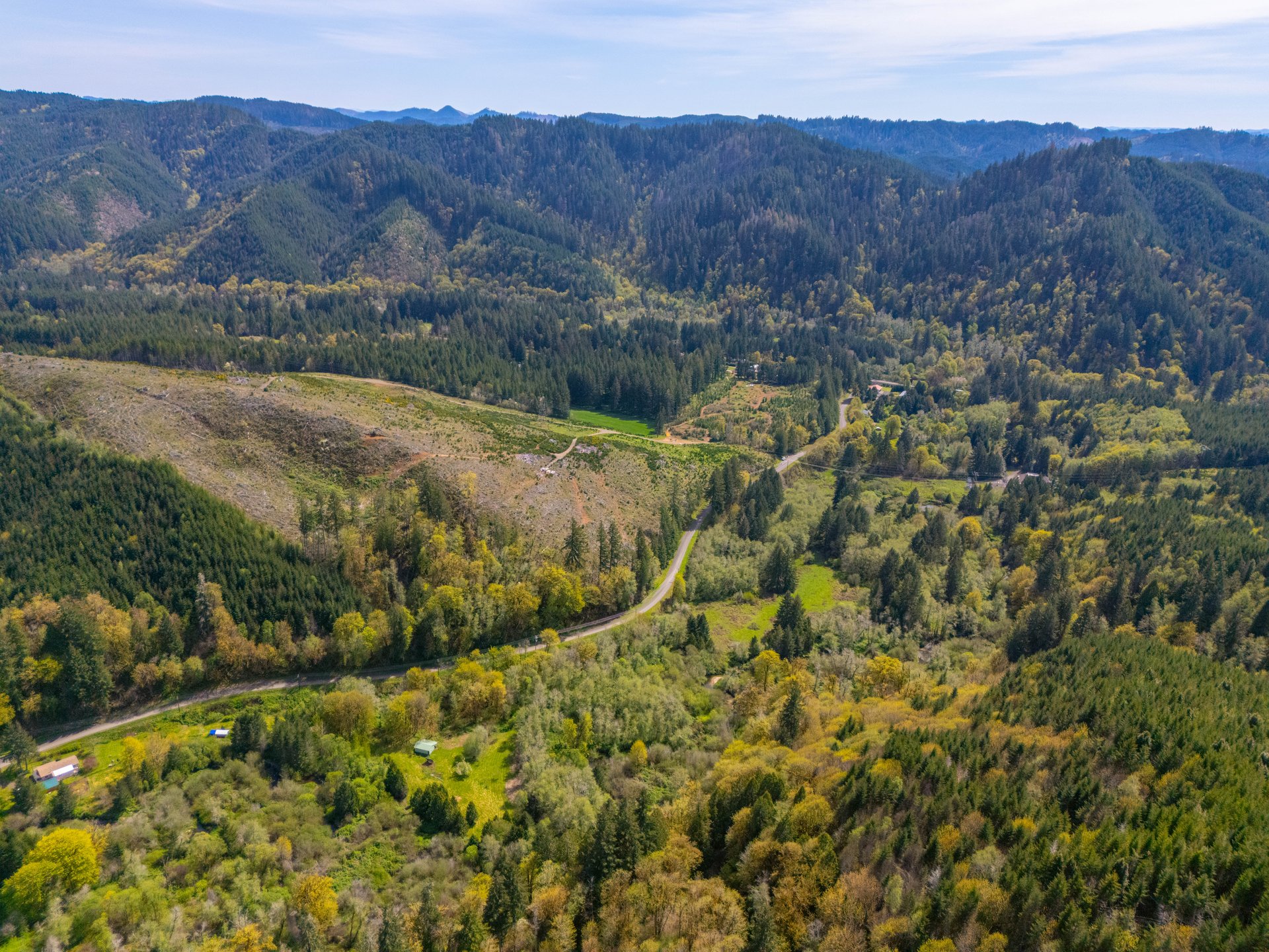 Nelson Mountain Meadows