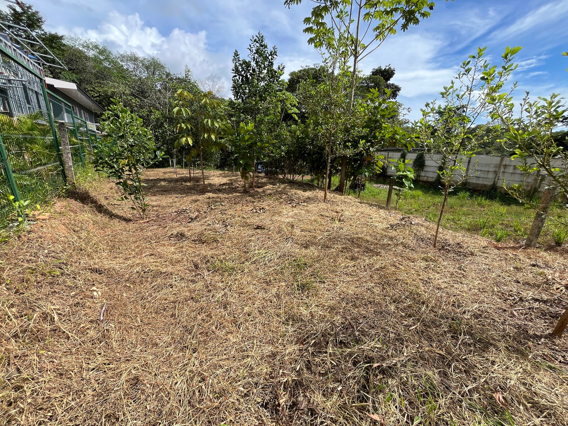 Affordable Uvita Lot UNDER $200-per-sqm - Perfect for Your Dream Home or Airbnb Investment