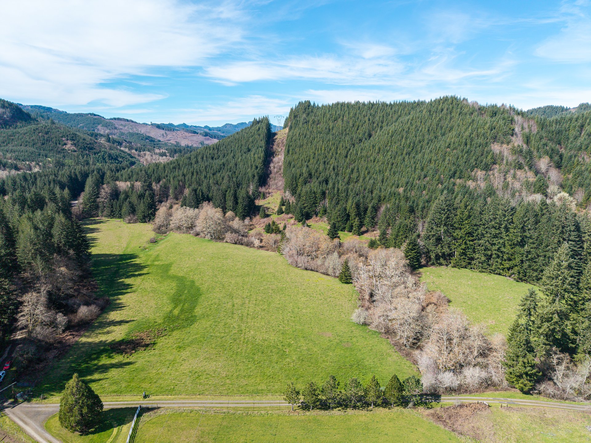LITTLE ELK TREEFARM