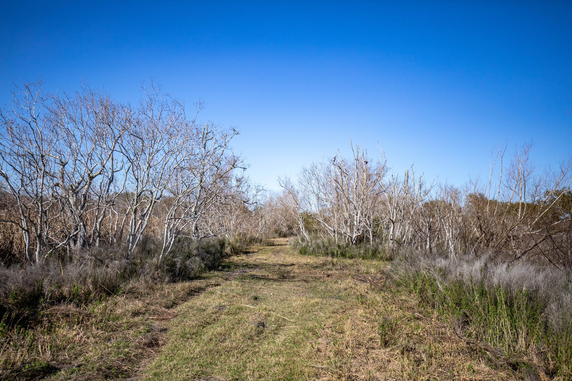 Lamar Peninsula Development Tract |  51.81± Acres | Aransas County