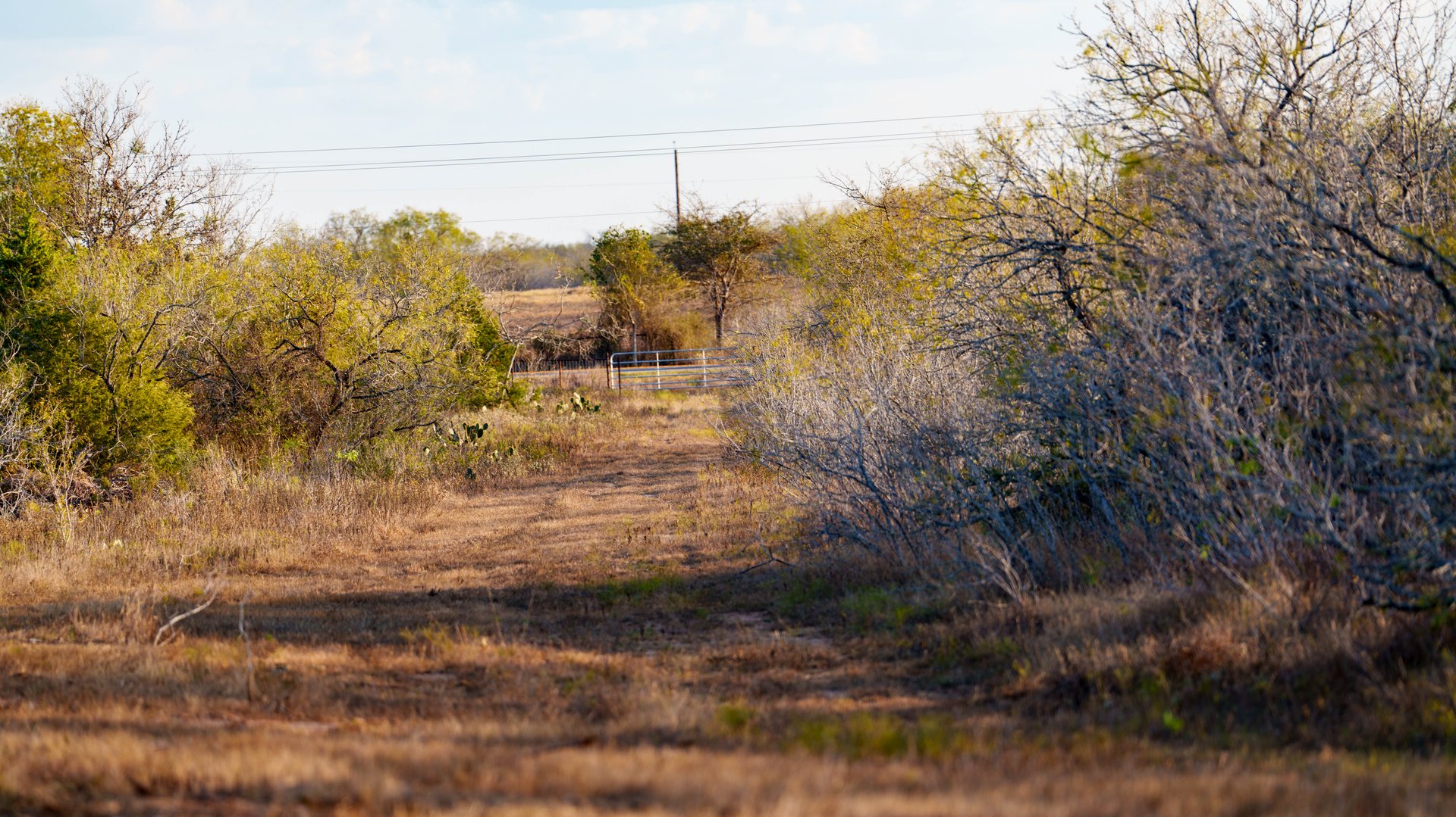 Gonzales County | 104+/- Acres