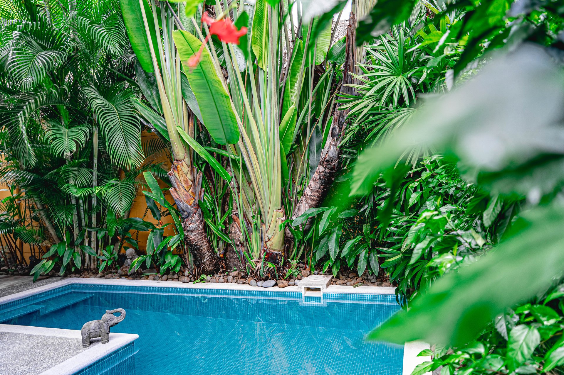 2-Bedroom Home for Sale in Jacó Gardens — Private Pool & Direct Beach Access, South Jaco, Costa Rica