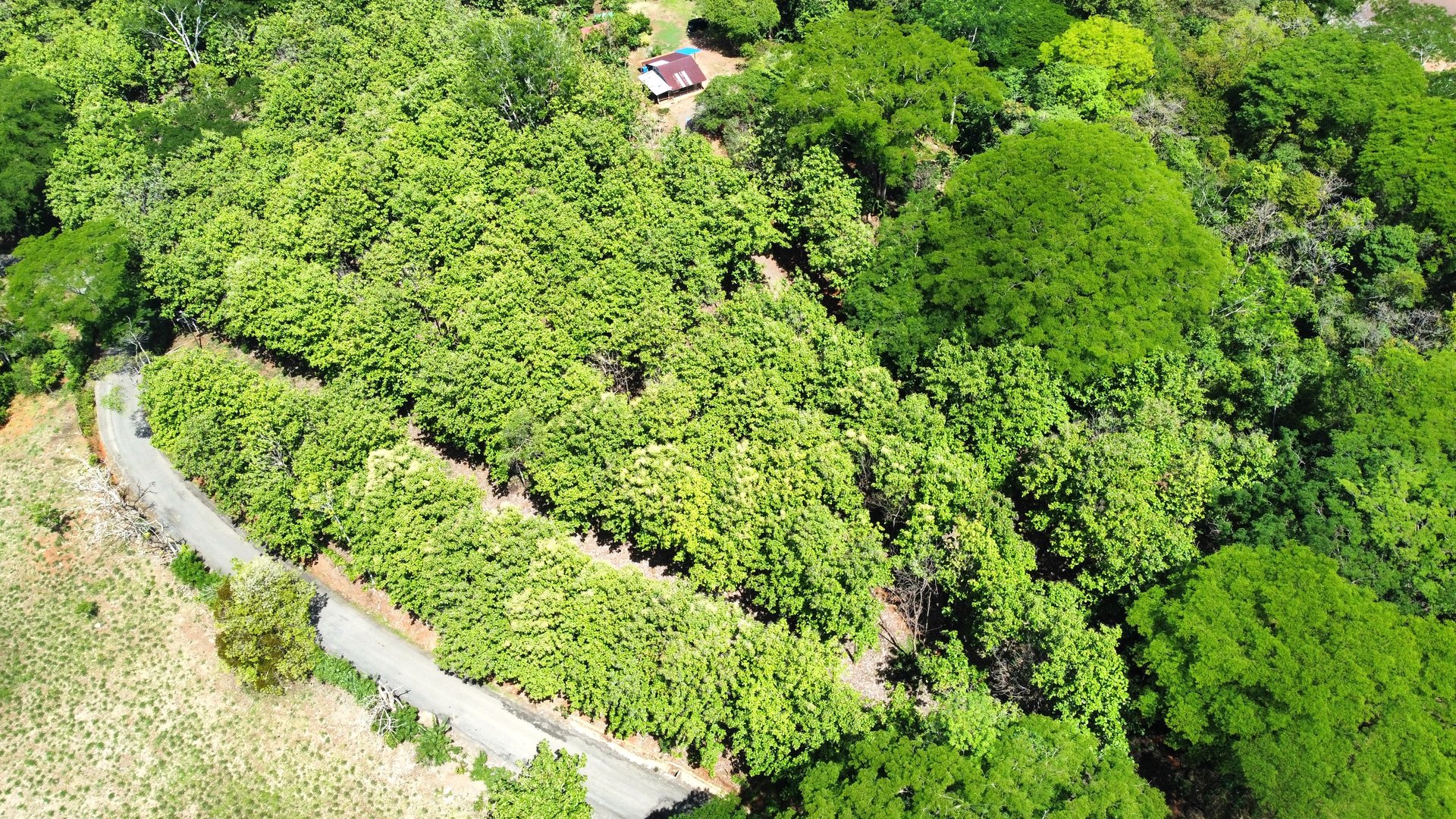7-Hectare Farm with Teak Plantation, Existing Home & Eco-Development Potential Near Parrita, Costa Rica