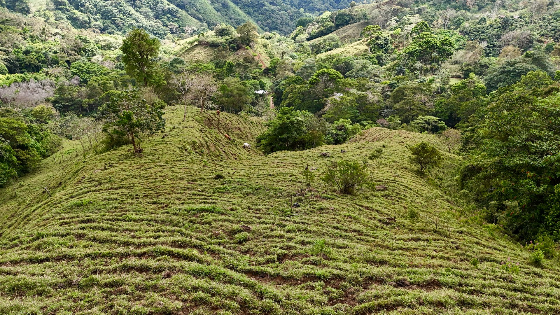 Gorgeous Land in San Luis Morete - Uvita - Over 17 Acres