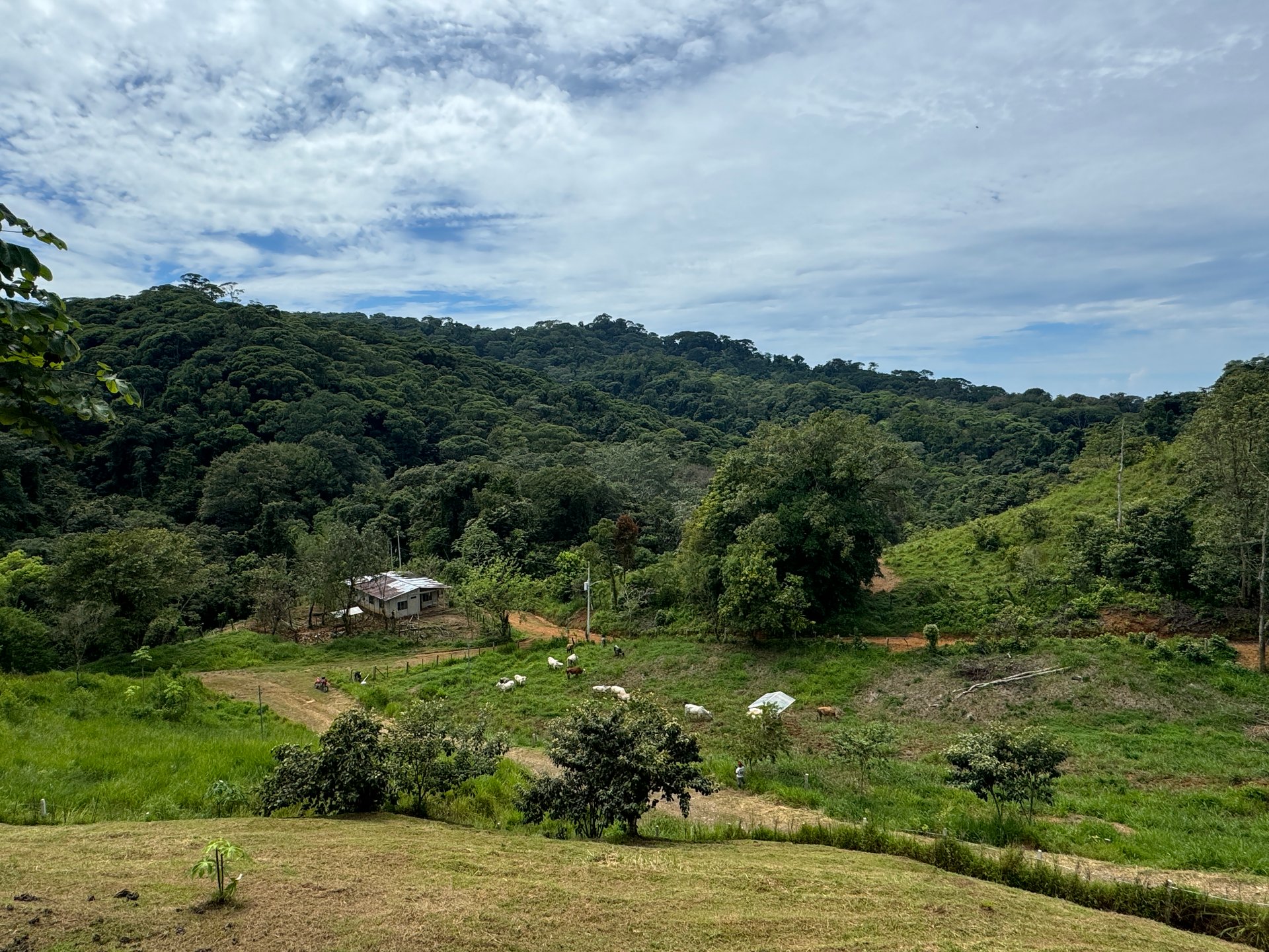 2.6 ACRES – 3 Bedroom Home With Beautiful Views, Several More Building Sites, Perfect For Small Farm!!!