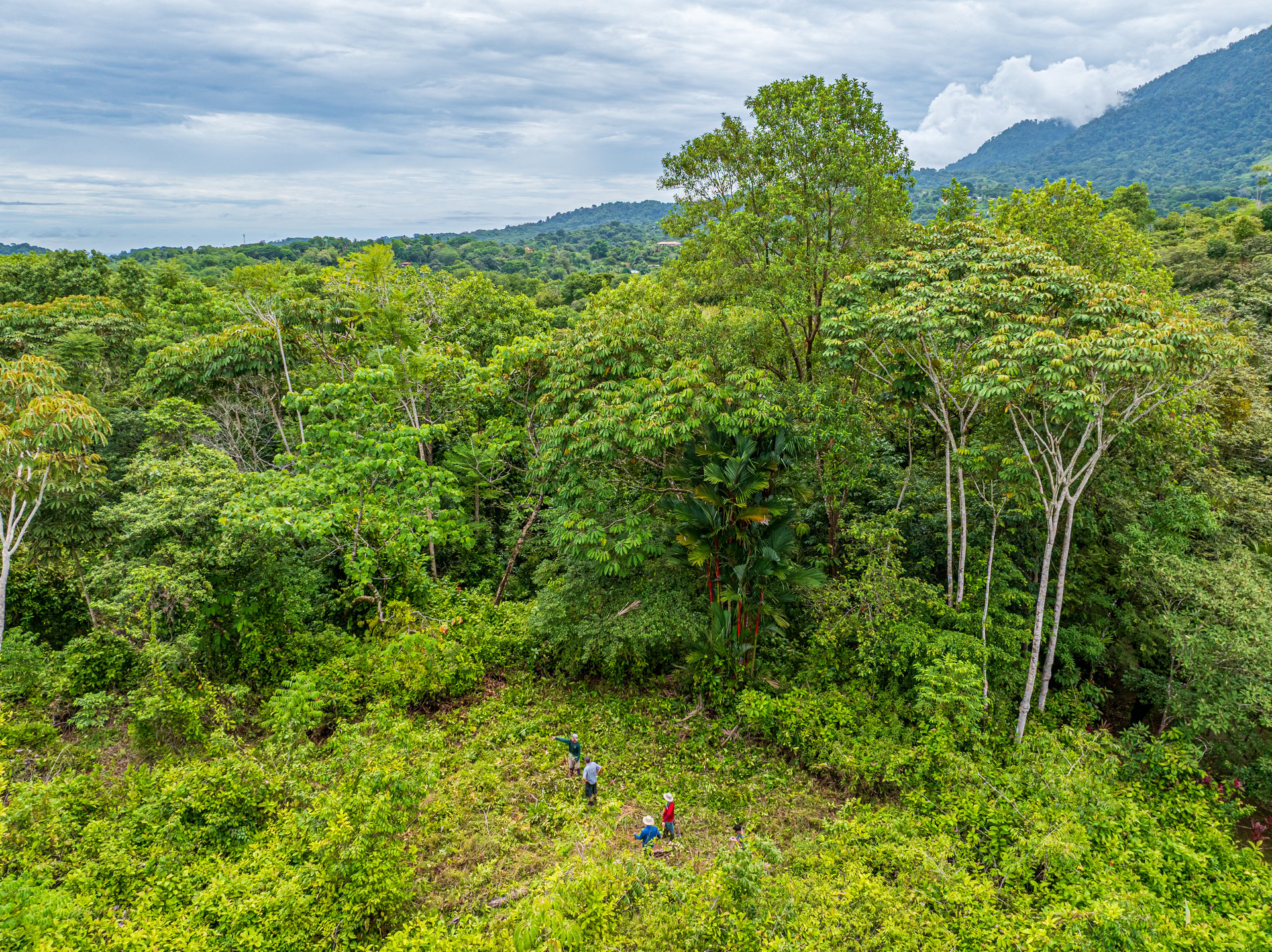 Luxury Rainforest Home + Guest House on 11 acres