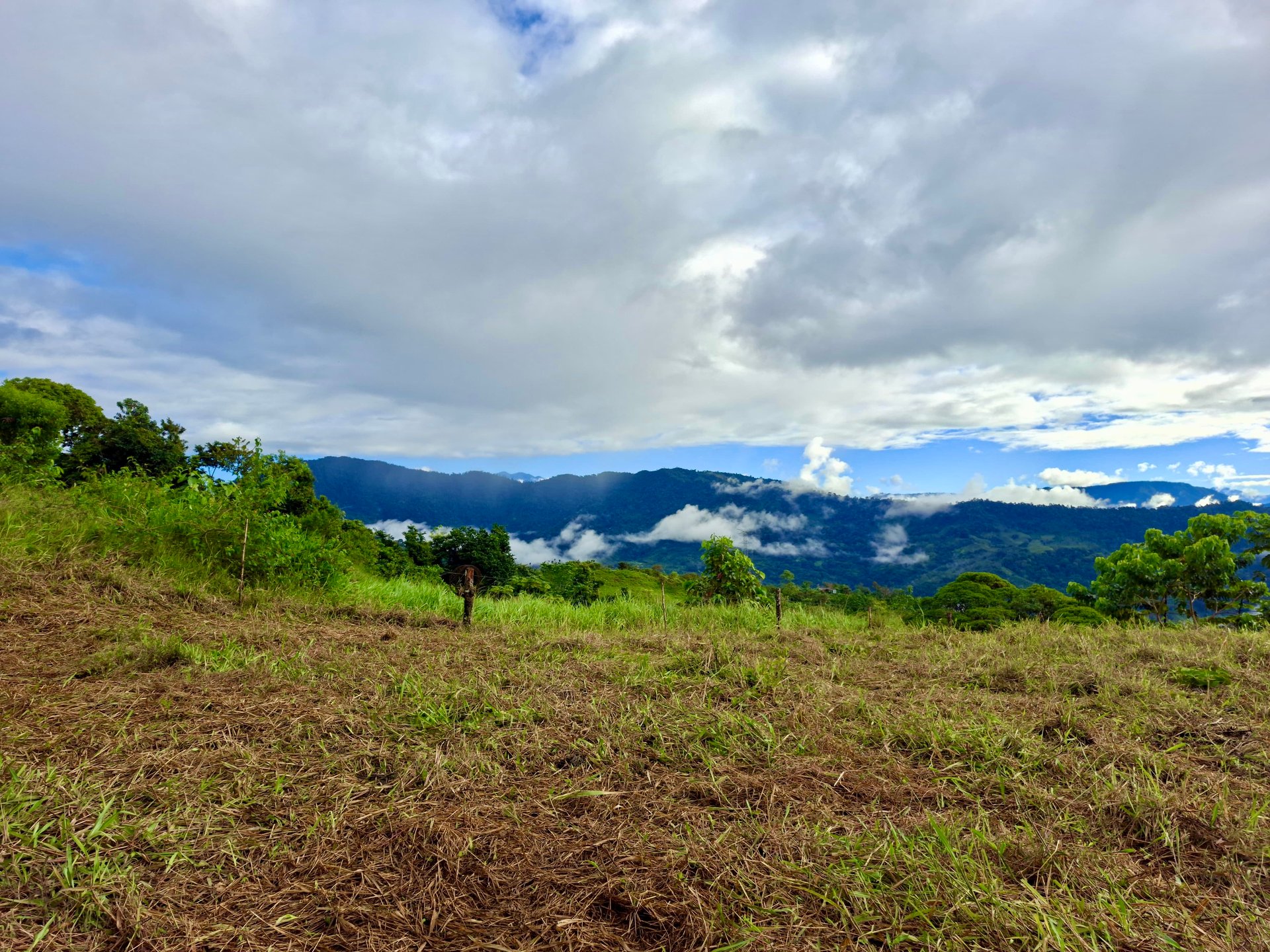 Off-Grid Ocean View Lot | 1.7 Acres in Las Nubes Matapalo Hills 
