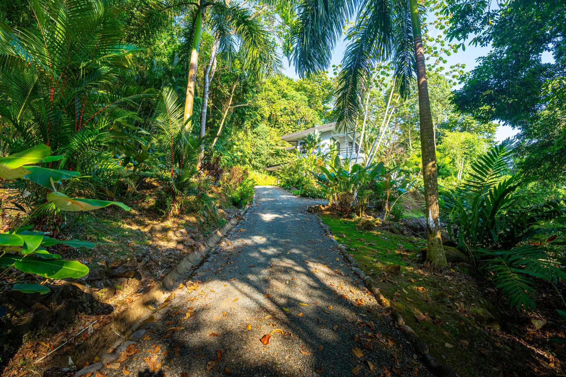Private Oceanview Sanctuary Above Uvita's Iconic Whales Tail, 3 Bed, 3 Bath  