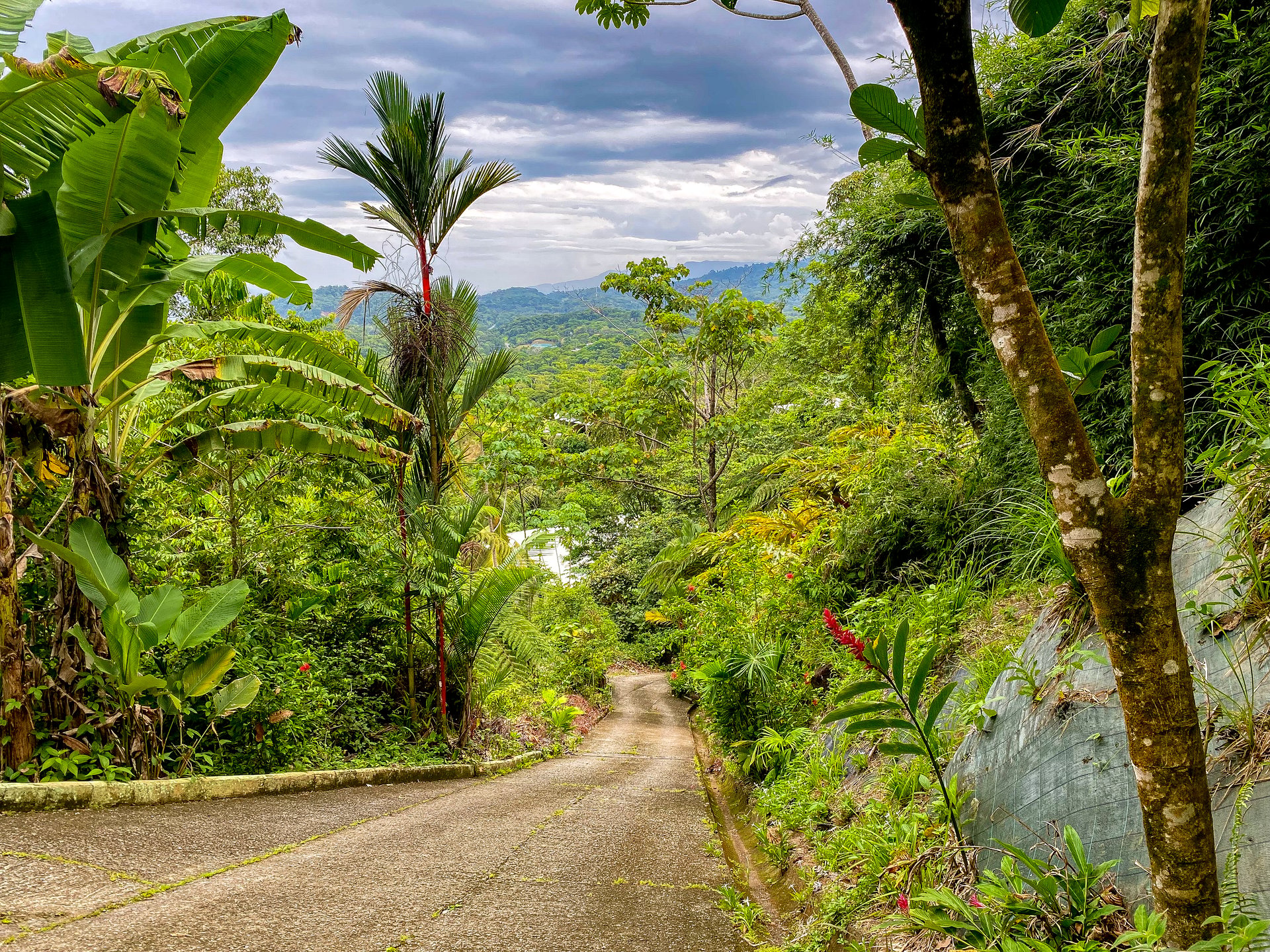 Ocean View Home for Sale in Ojochal with Pool & Jungle Views