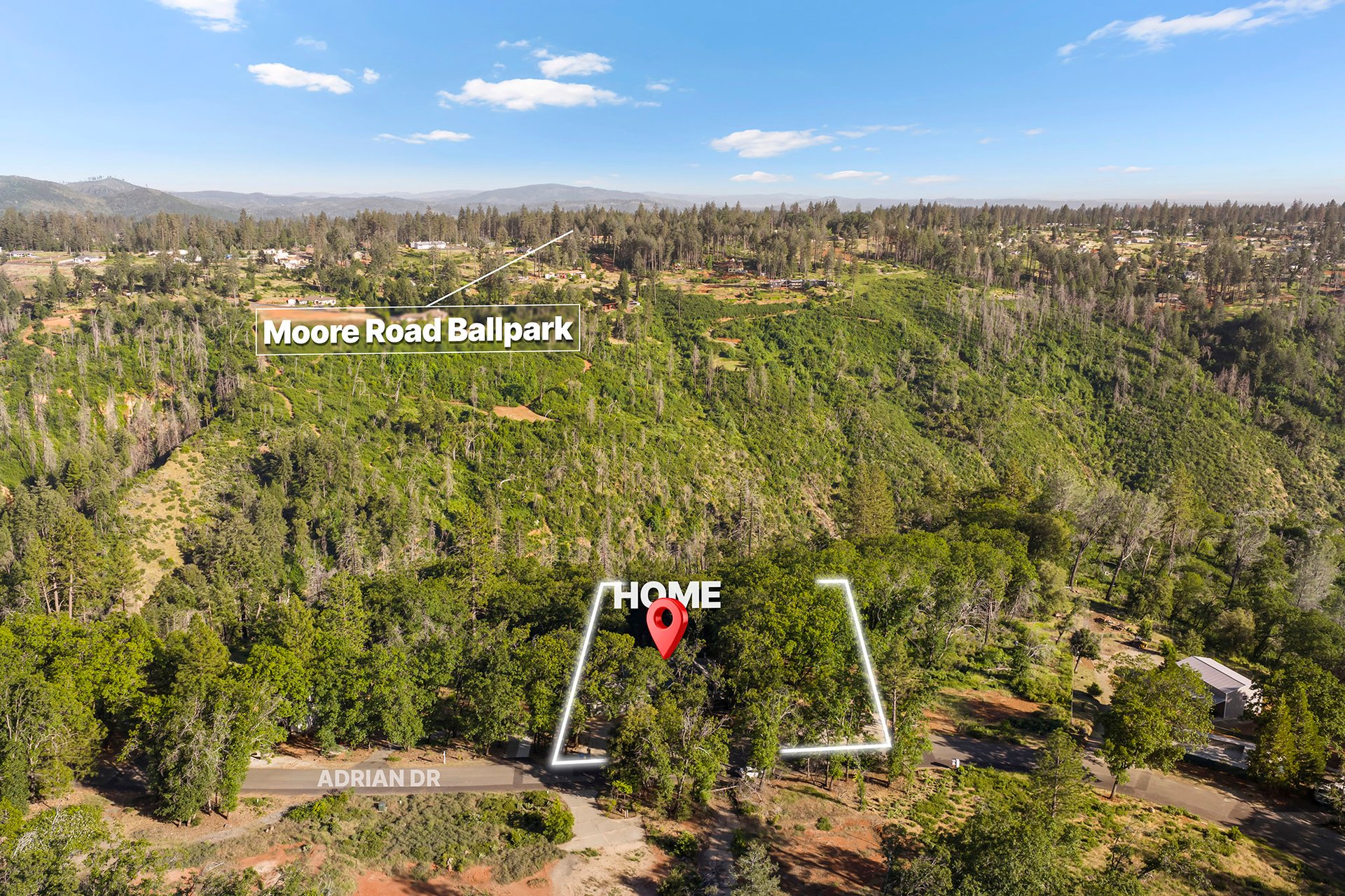 13424 Adrian Drive