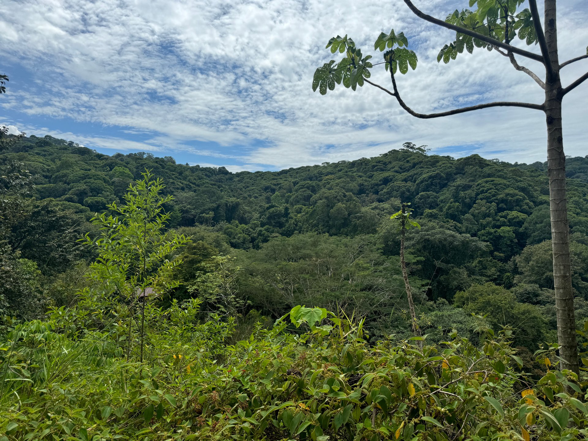 2.6 ACRES – 3 Bedroom Home With Beautiful Views, Several More Building Sites, Perfect For Small Farm!!!
