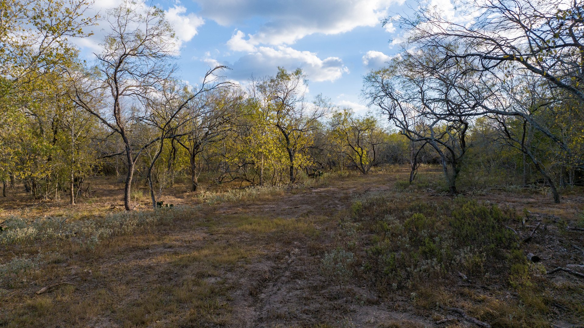 Gonzales County | 104+/- Acres