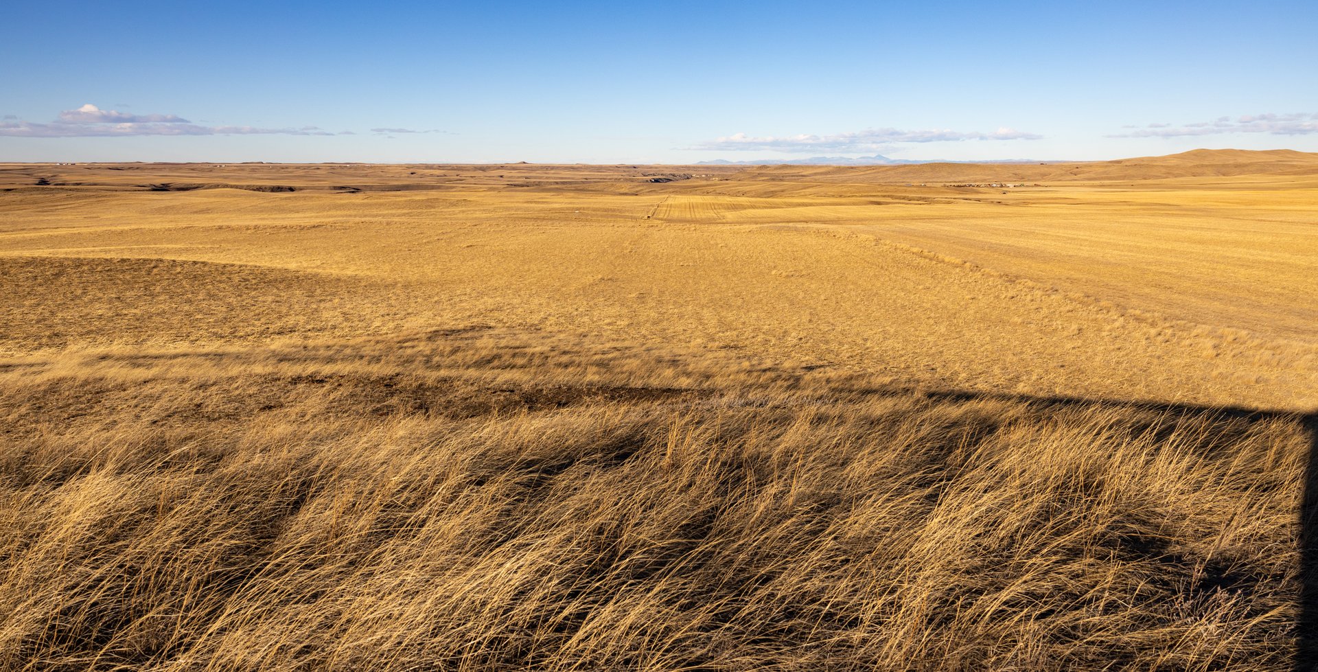 Prairie Rise Ranch