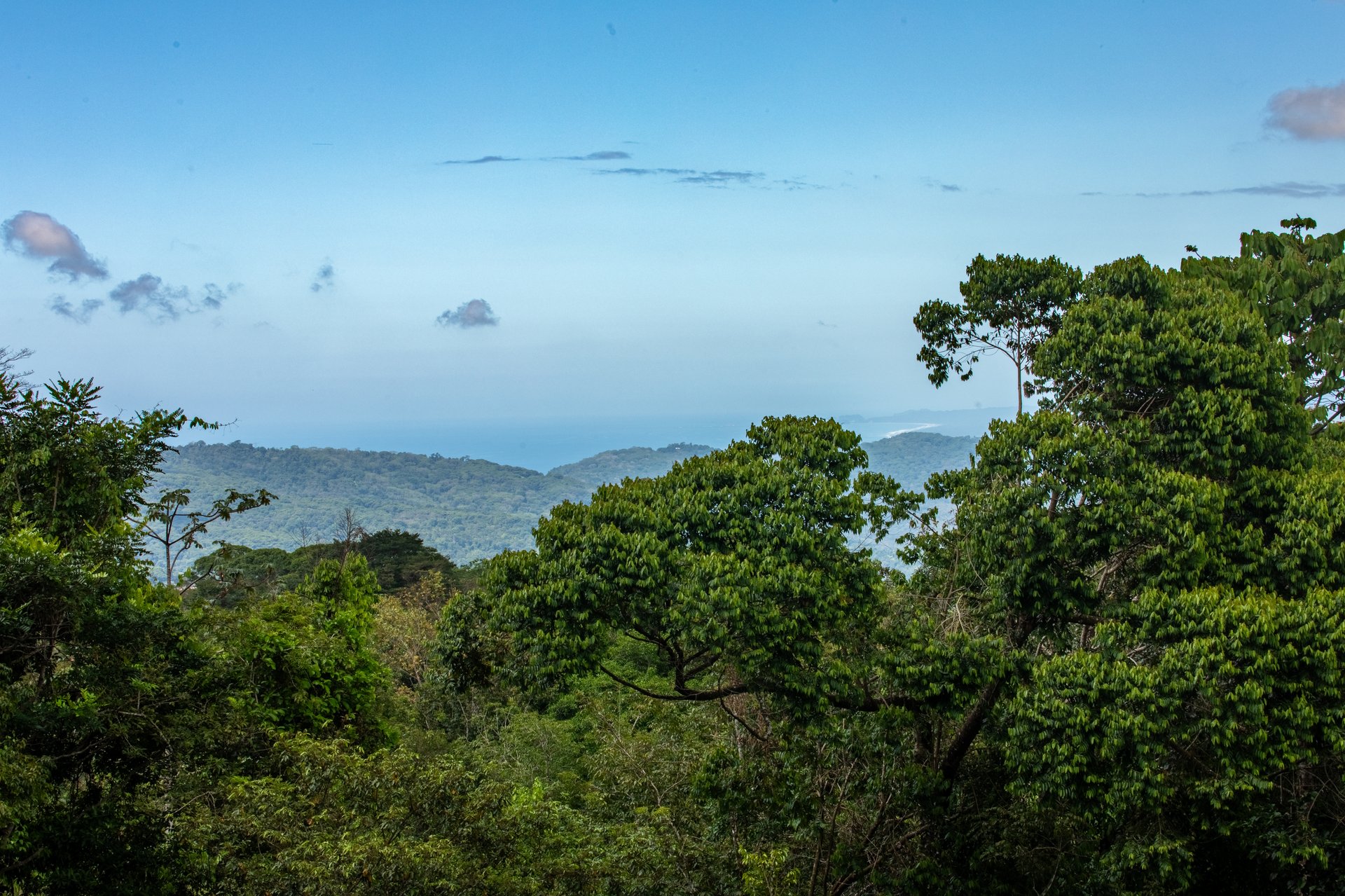 Ocean View Estate and Retreat Opportunity in the Diamante Valley Dominical