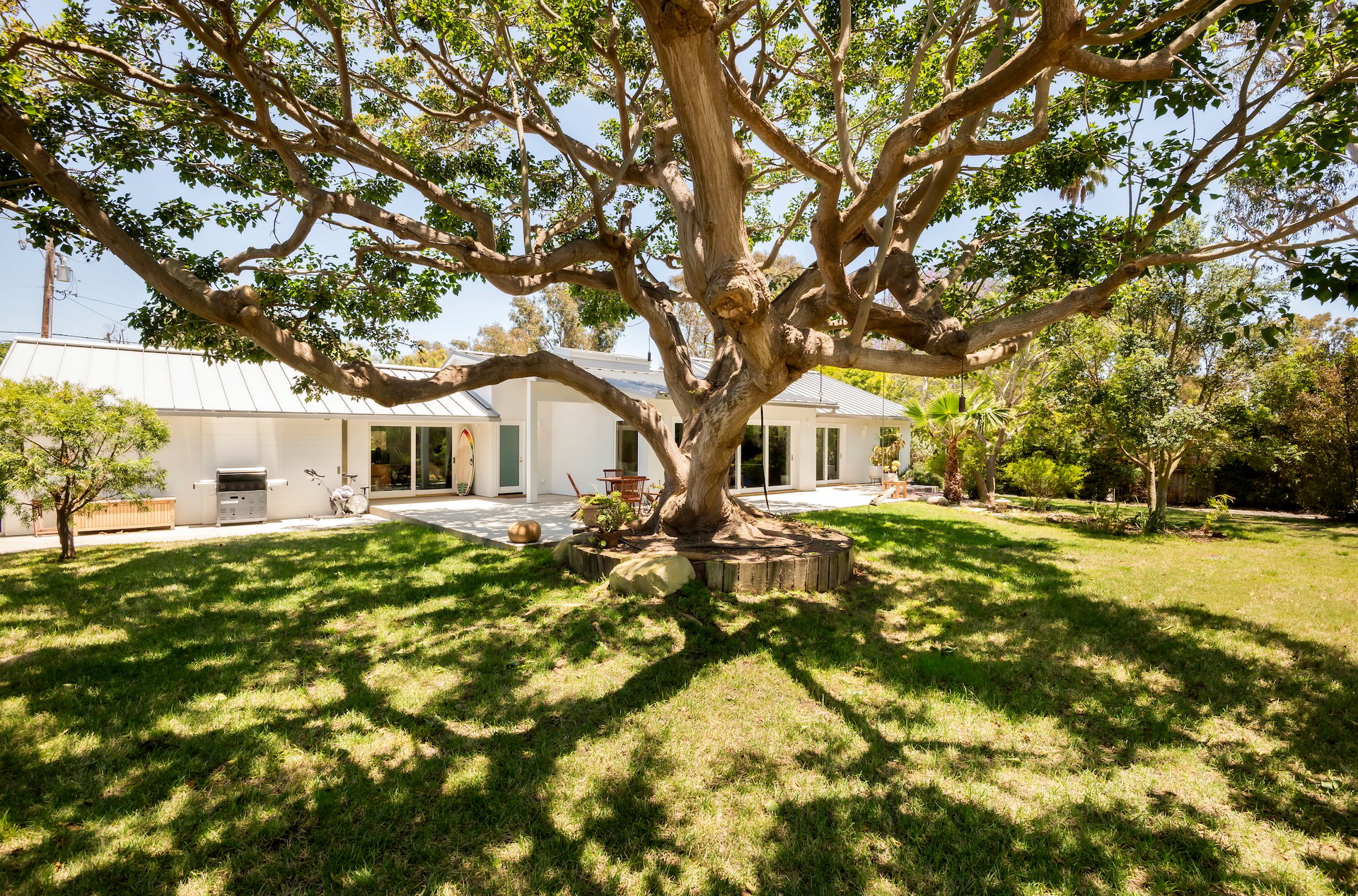 White single-story home behind a sprawling shade tree in a sunny grassy backyard.