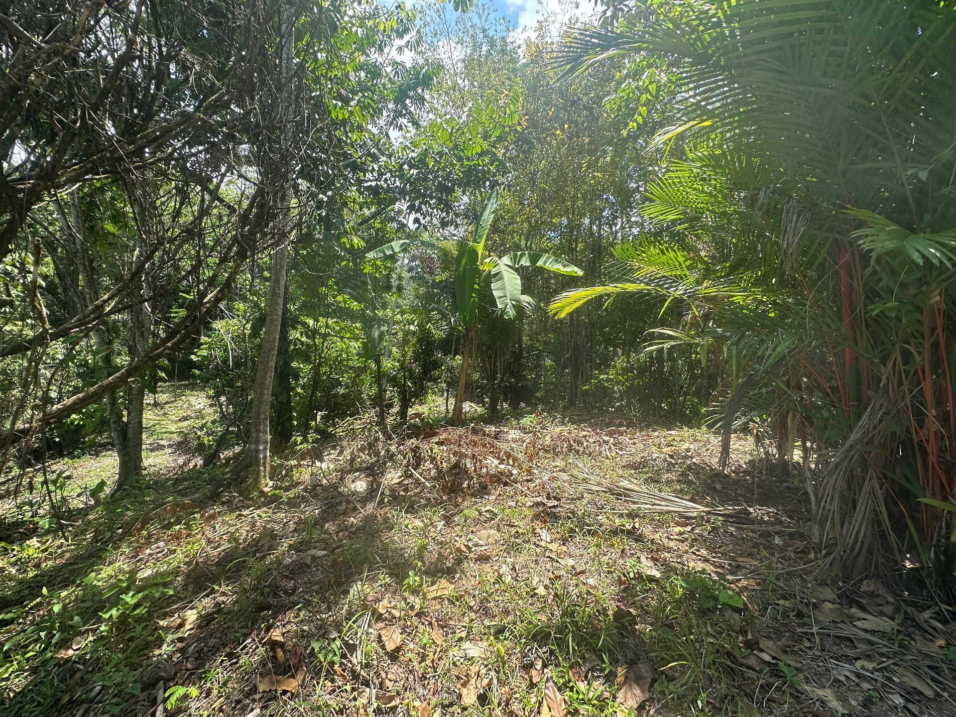 Ocean View Estate Lot with Private Waterfall – Uvita
