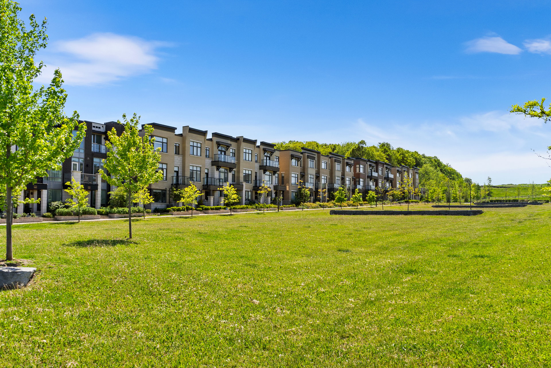 SOLD: Luxury Freehold Townhome