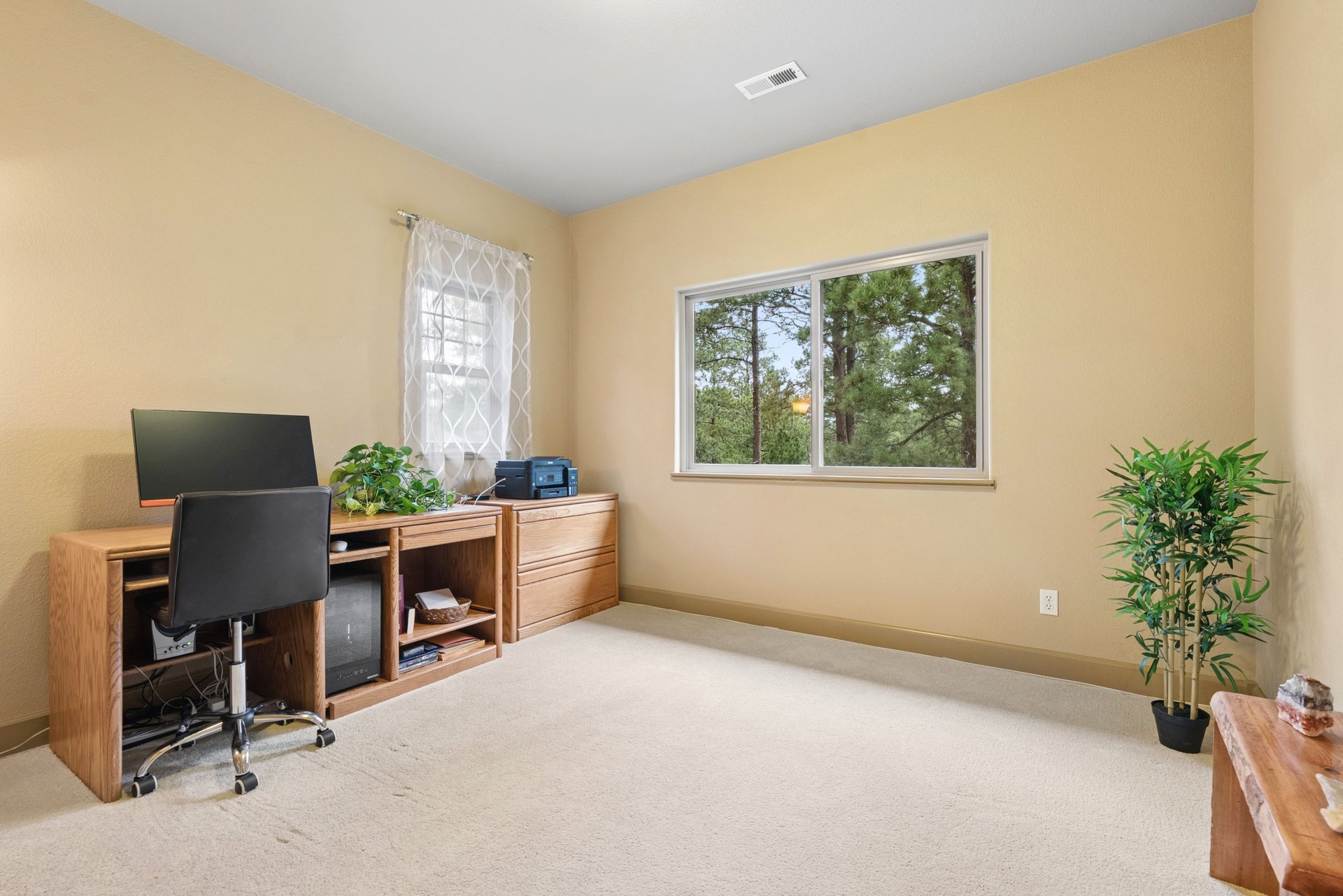 14953 Snowy Pine Point
