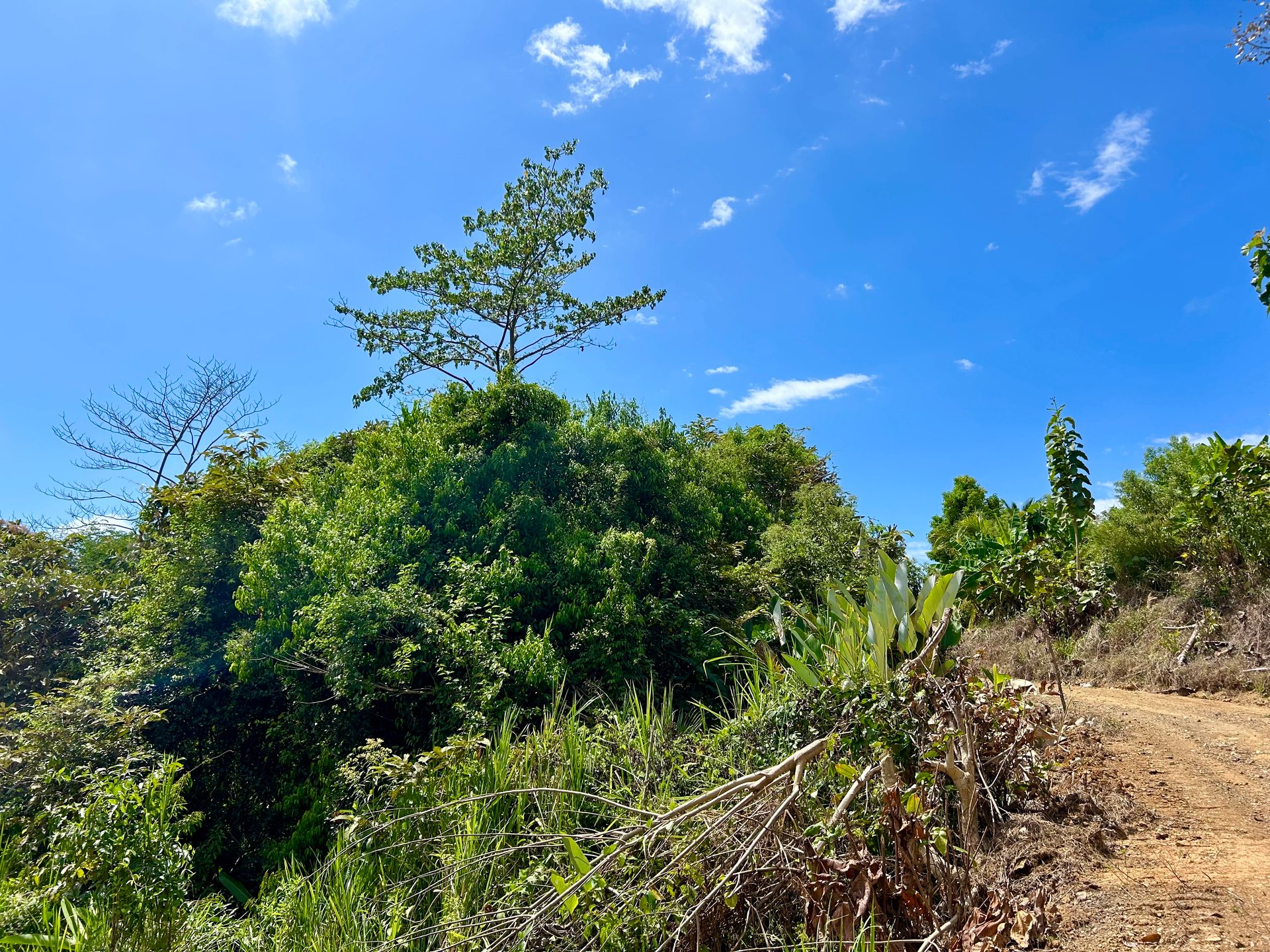 Price Reduced! Ocean View Lots in San Buenas – Just $70K Each