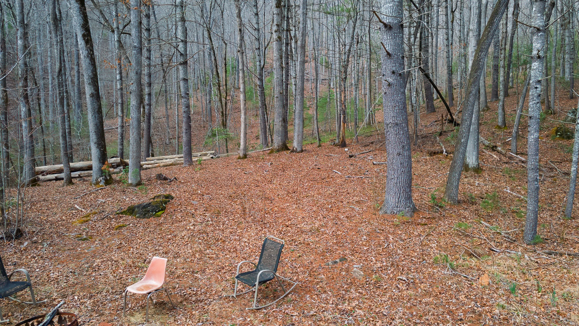 2035 Wayah Rd.
