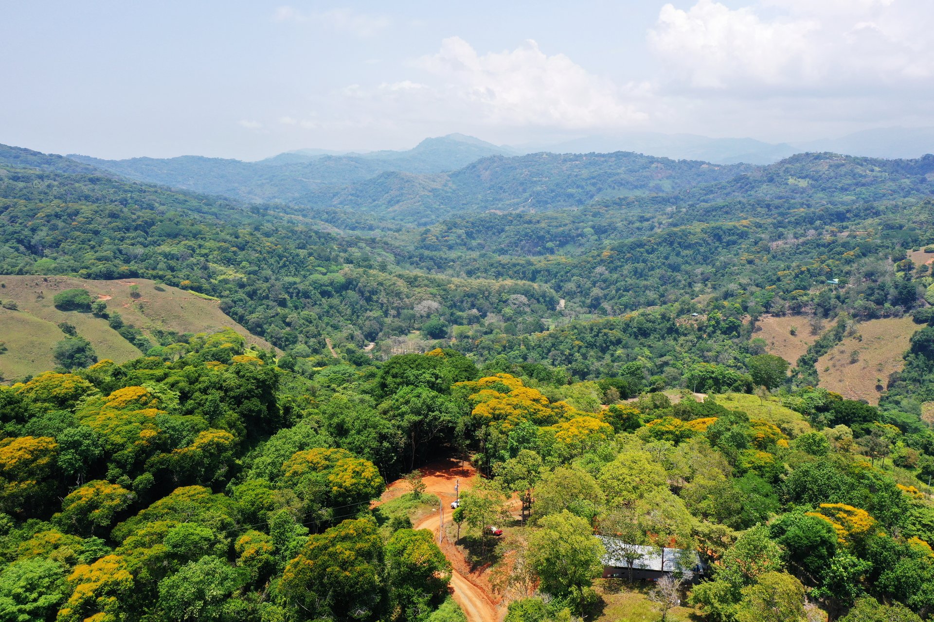 2.5 Acre Jungle and Valley View Home site in Dominical