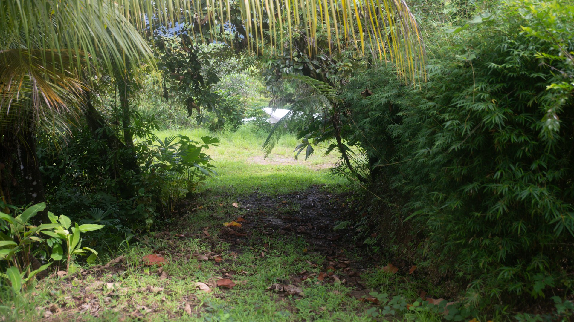 Lot in Calle Perezoso