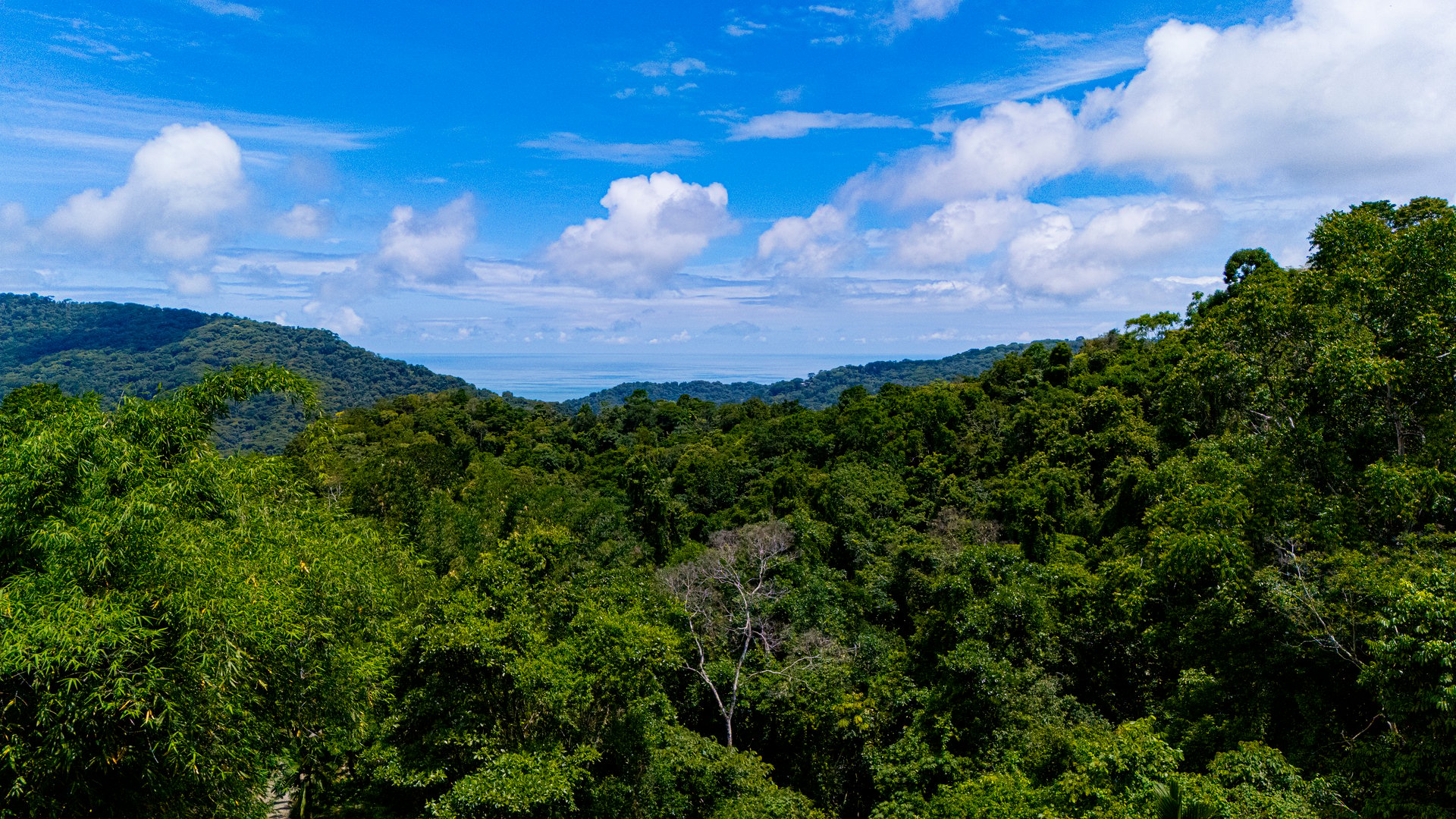 Casa Vista Hermosa