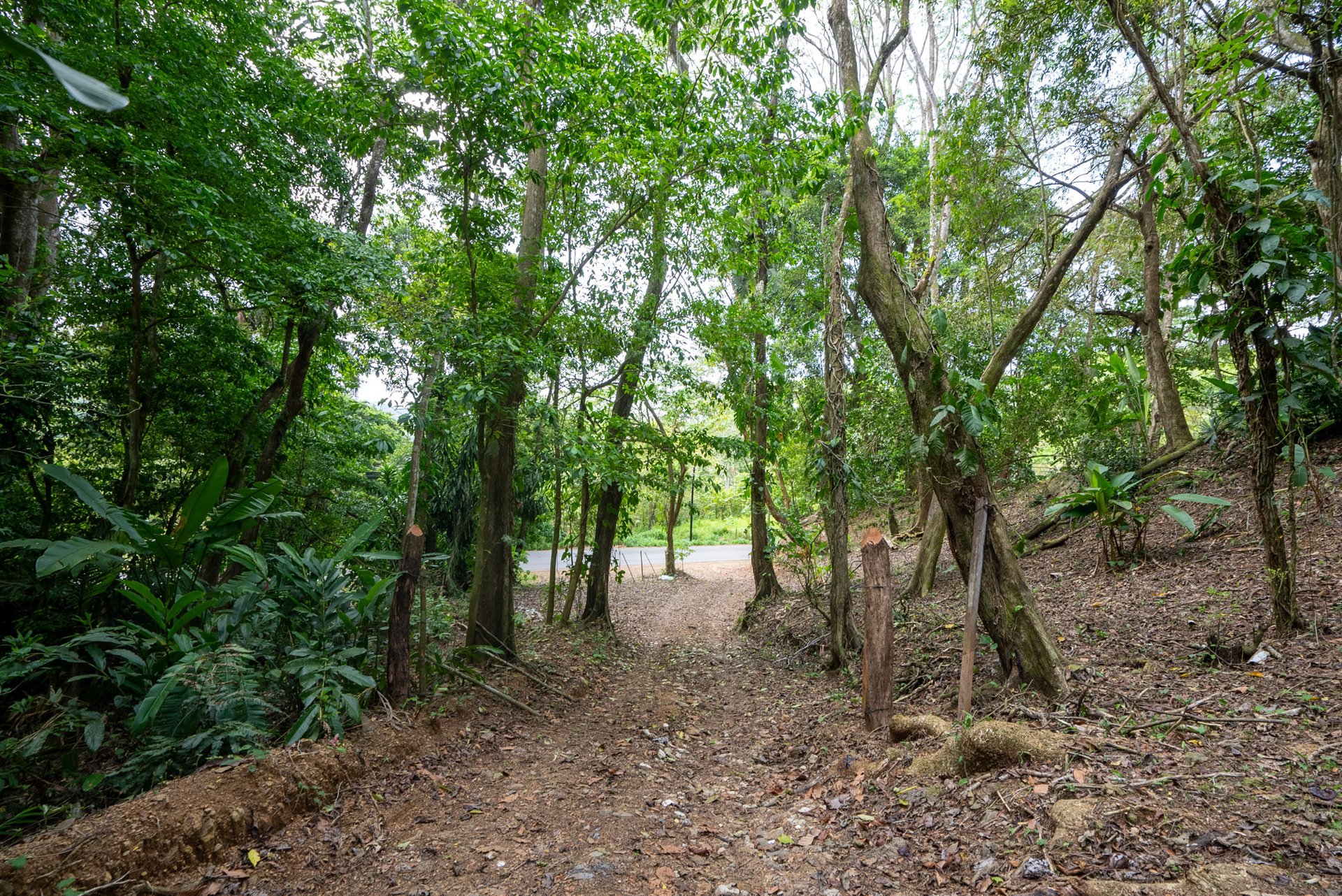 Rare 86-Acre Ocean View Estate Bordering Hacienda Barú – A Unique Opportunity for Conservation and Development