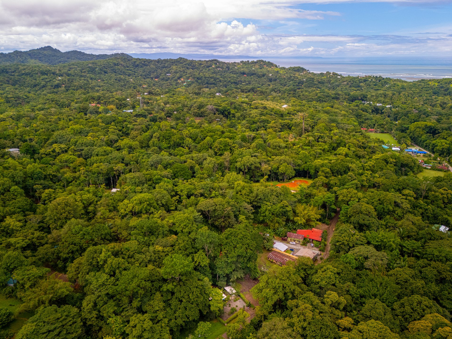 Tropical Modern Casita on ½ Acre / Saltwater Pool / Expansion Potential