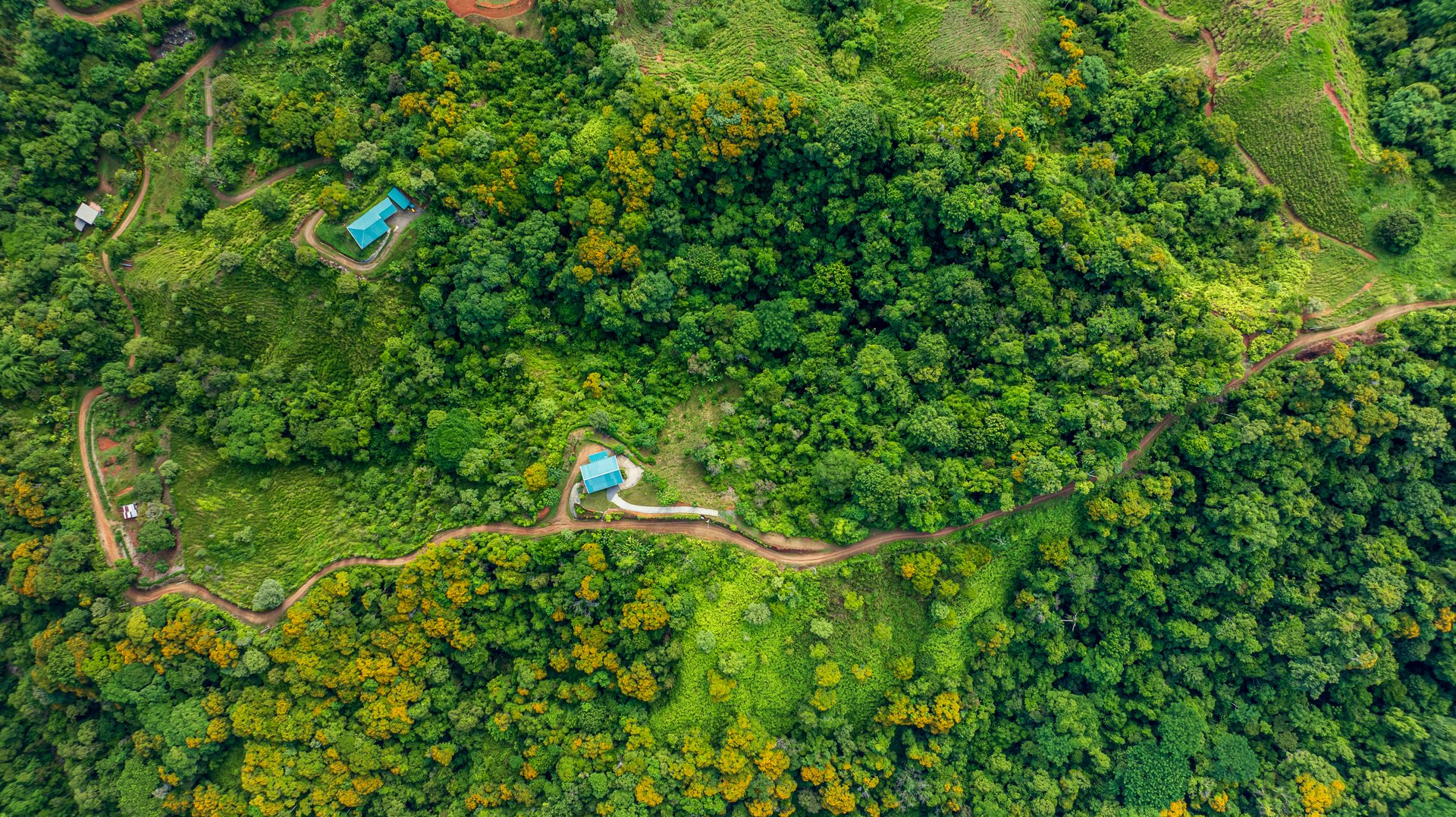 Mountain Farm & Homestead Opportunity in San Josecito, Costa Rica