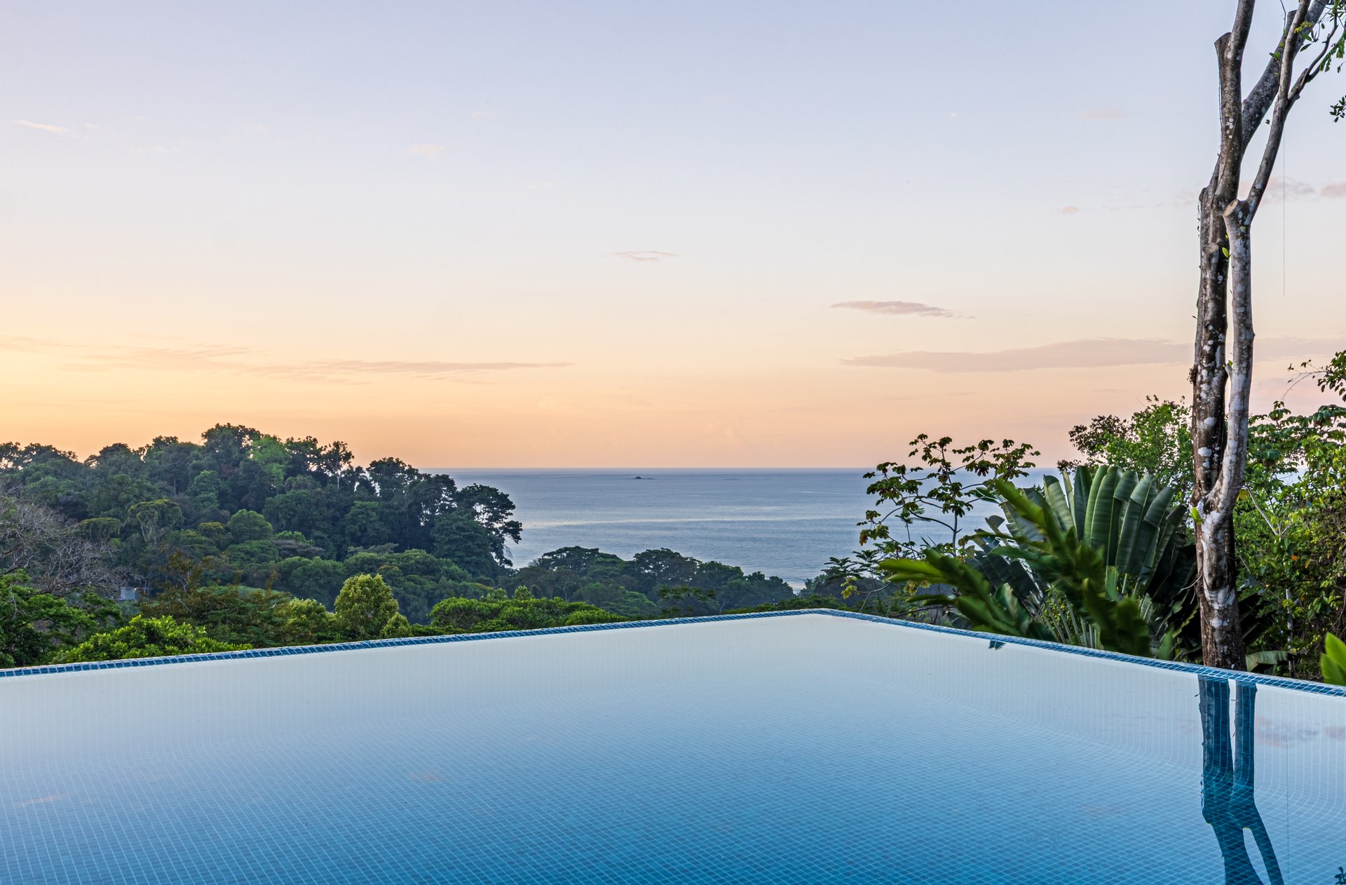 Luxury Hotel Boutique with Ocean Views | Walking distance to the beach | 13.2 Acres