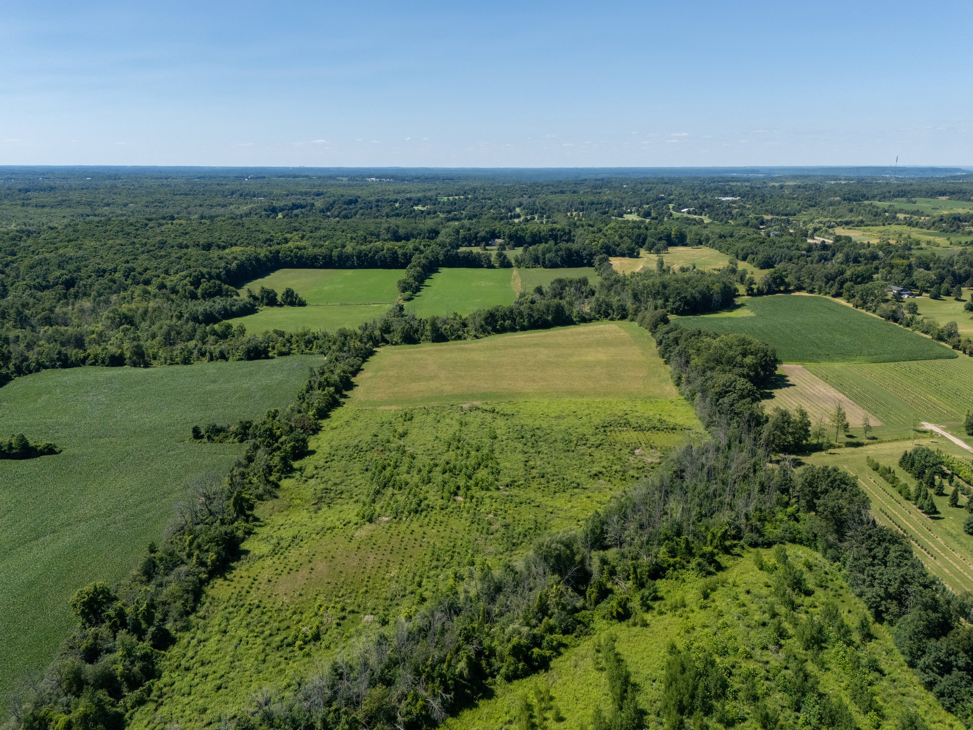 1270 1 Side Road, Burlington