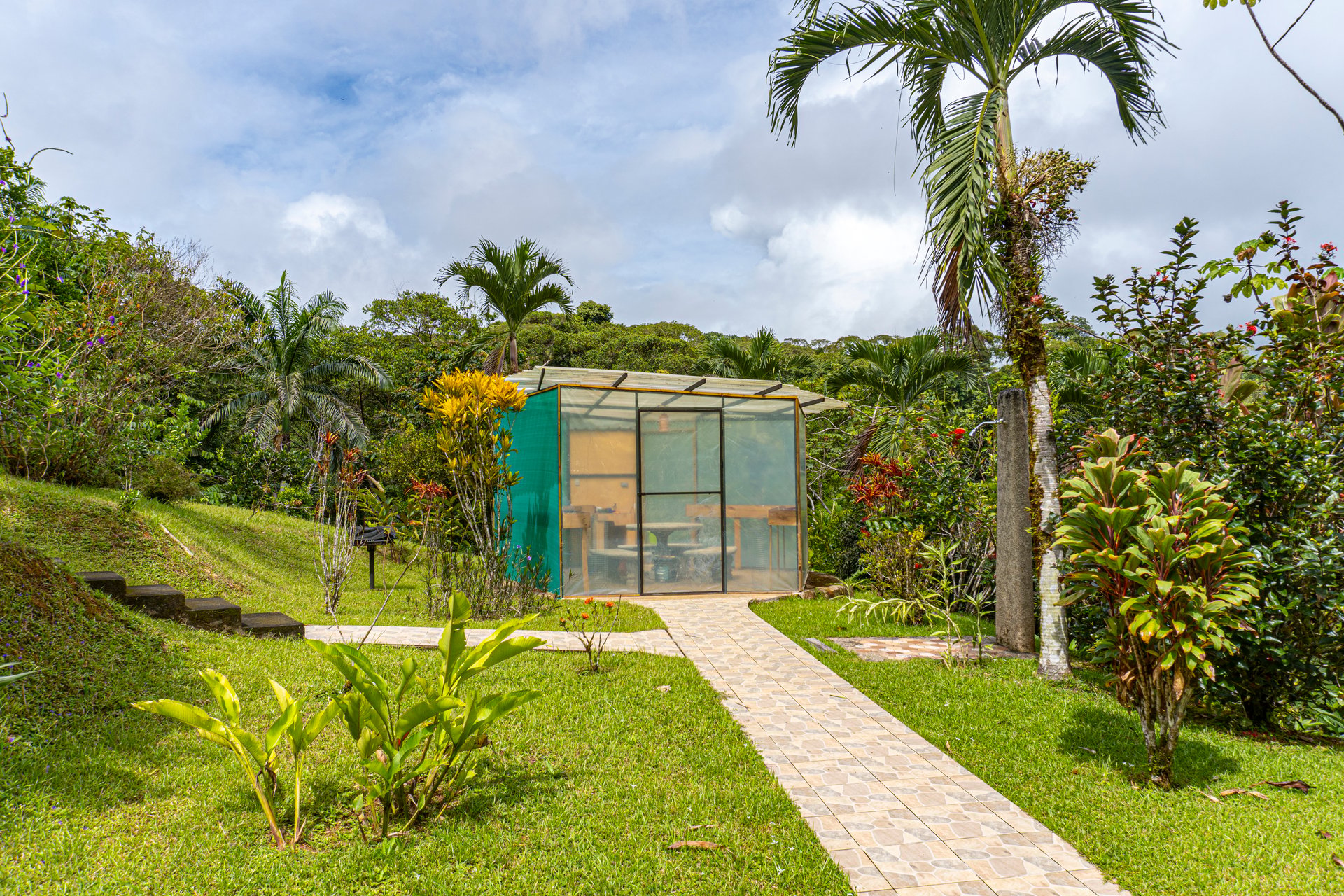Serene Costa Rican Jungle Retreat with Waterfalls & Wildlife