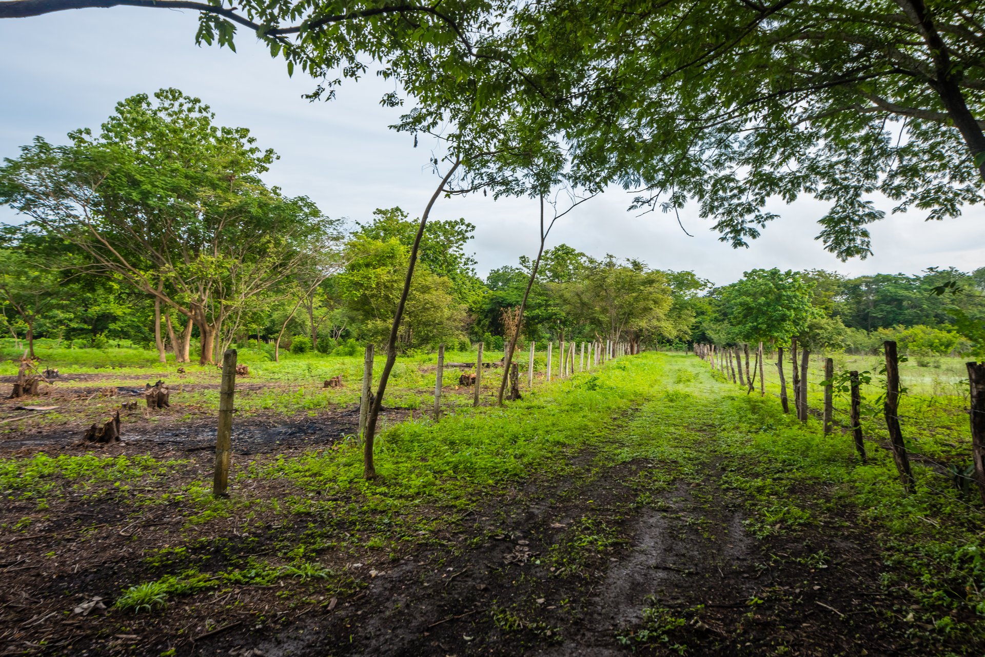 La Garita de Tamarindo Lot | 1.3-Acre Home Site Near Top Beaches, Private, Scenic, and Well-Located