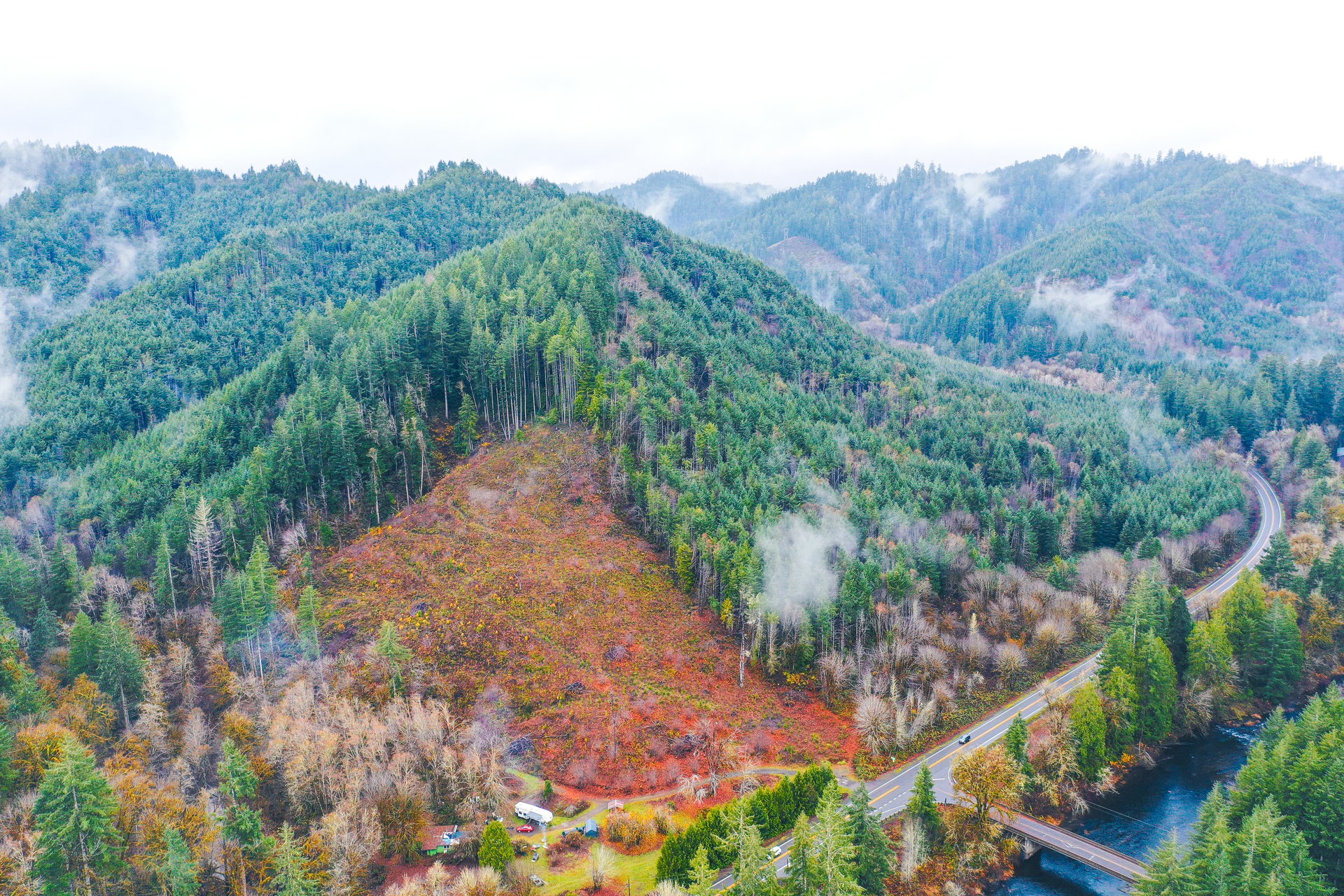 Waite Creek Woodlands