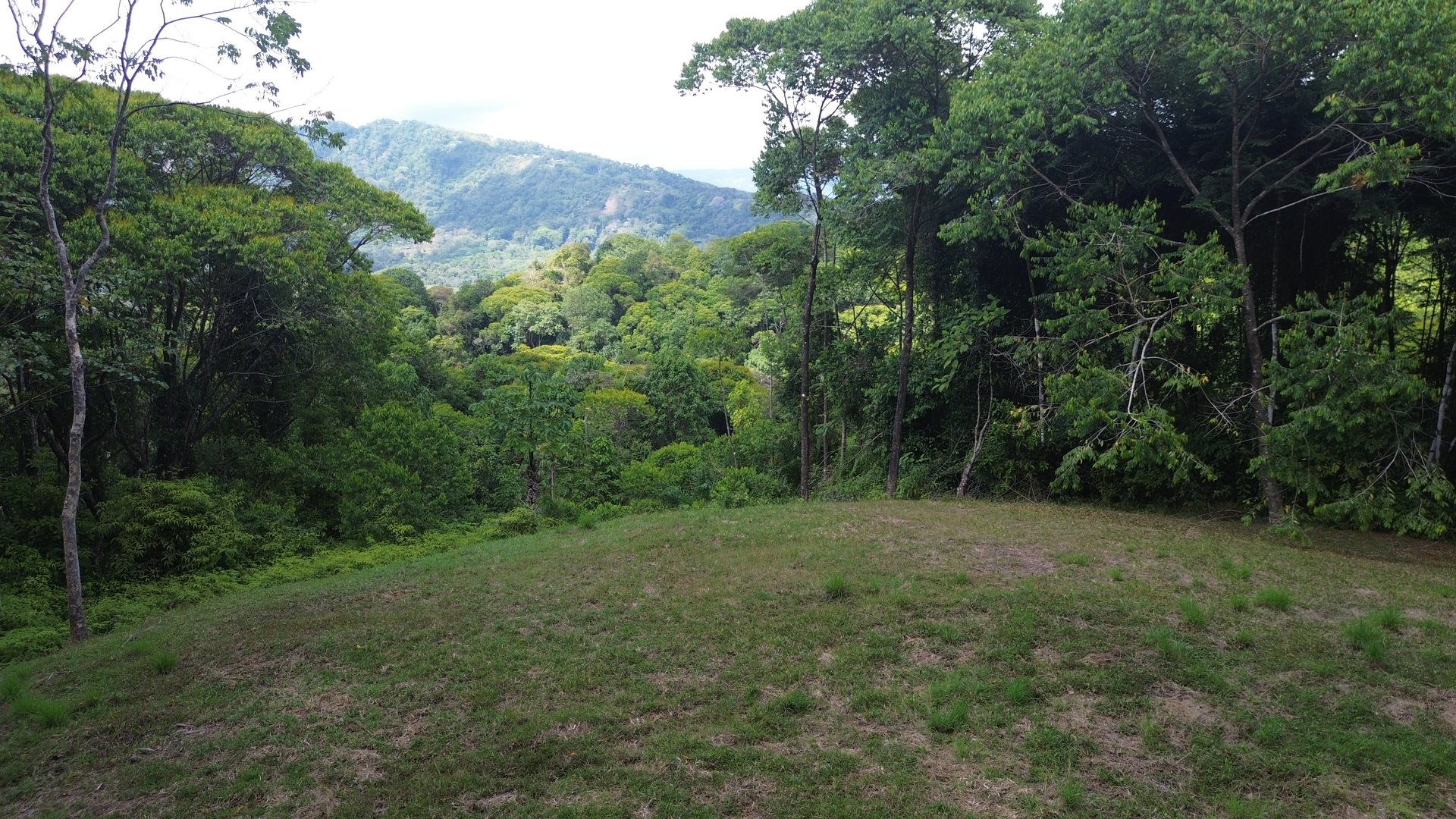 Your Private Jungle Retreat Just Minutes from Dominical