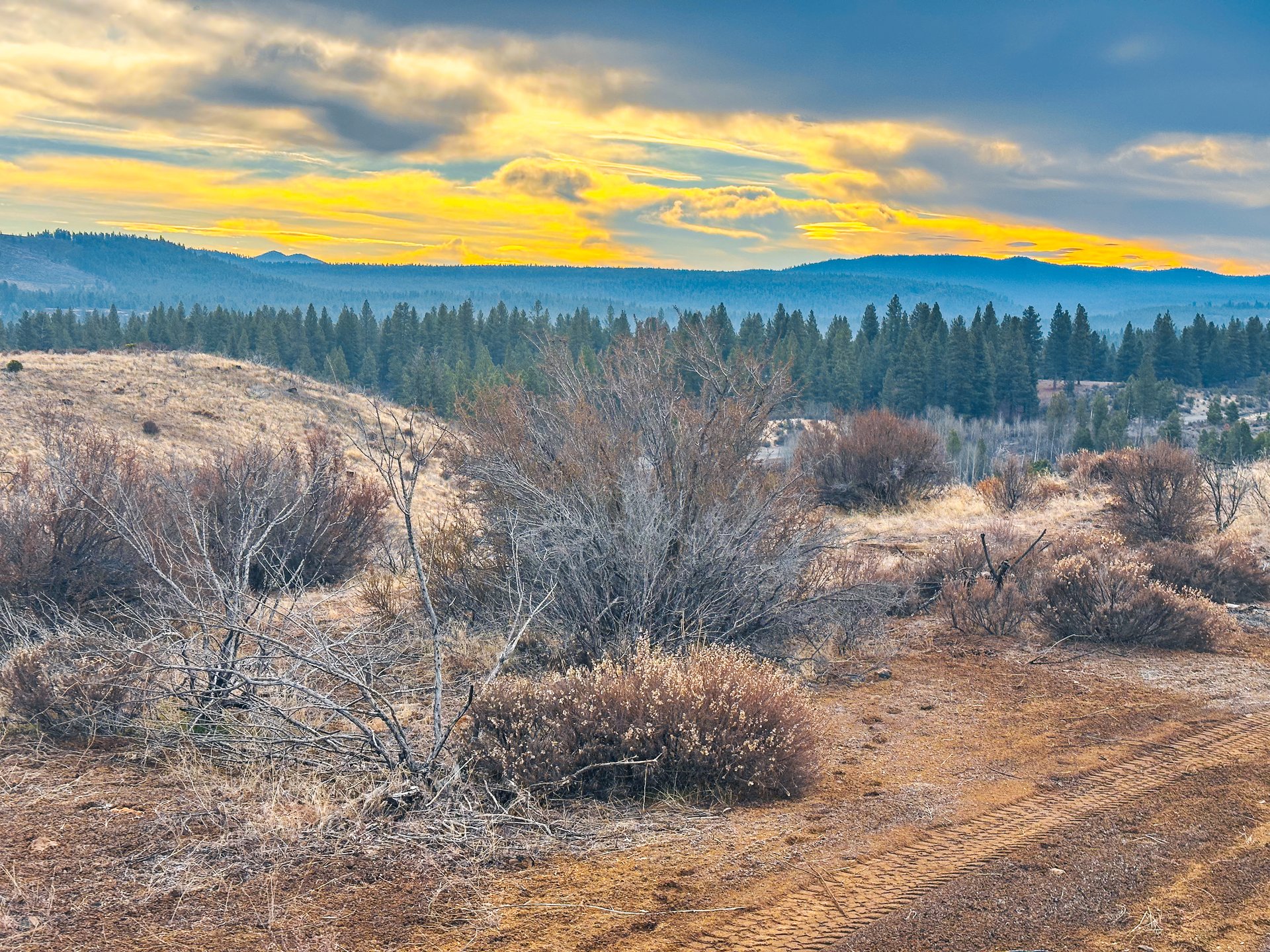 Klamath Basin