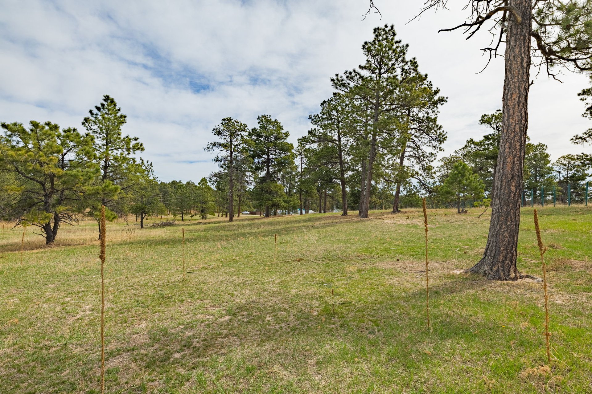 13354 N Meridian Road