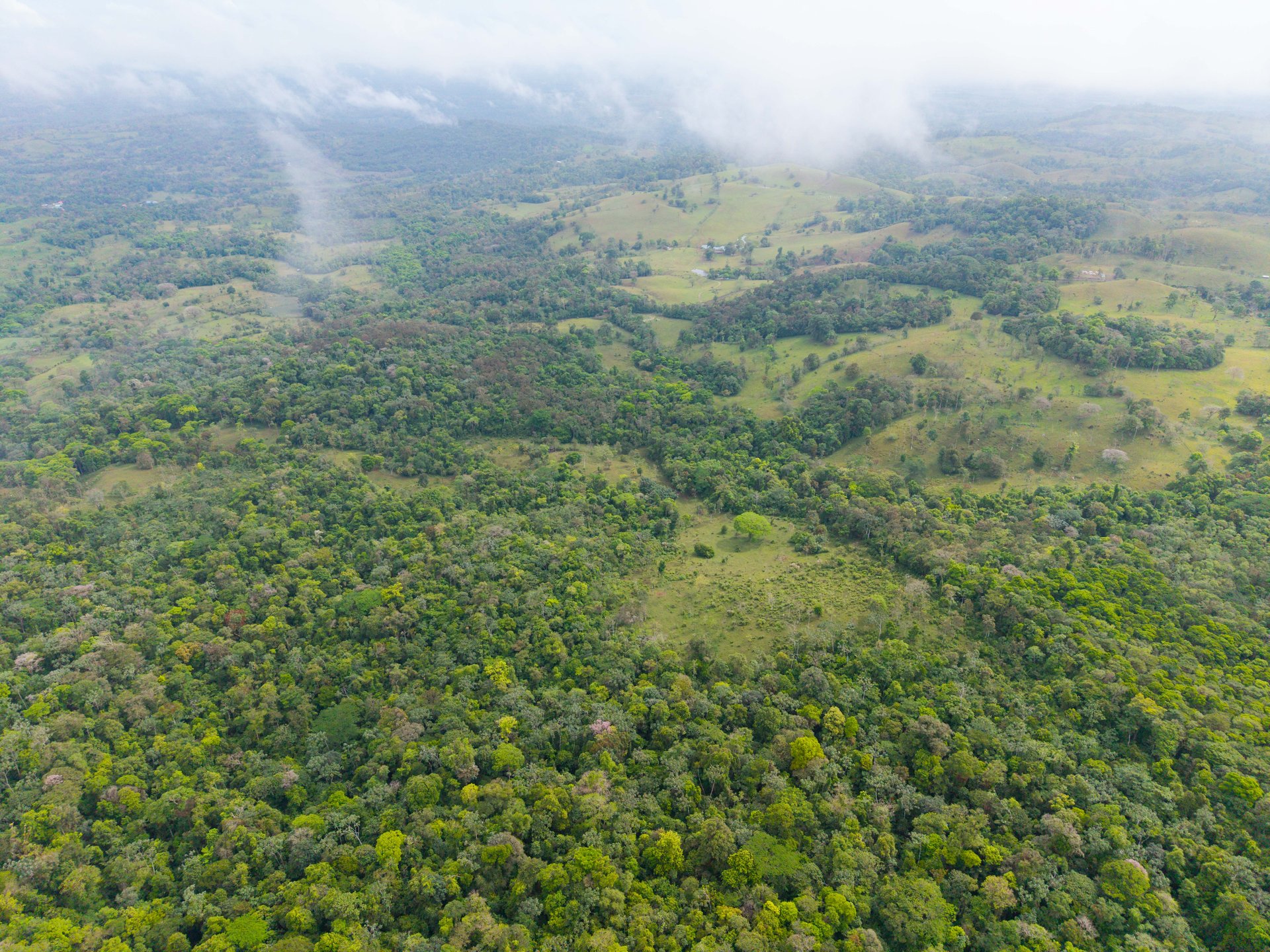 Finca Las Zompopas-Río Celeste | 113-Acre Biodiverse Property in Bijagua, Ideal for Eco-Tourism, Private Retreats, or Sustainable Development